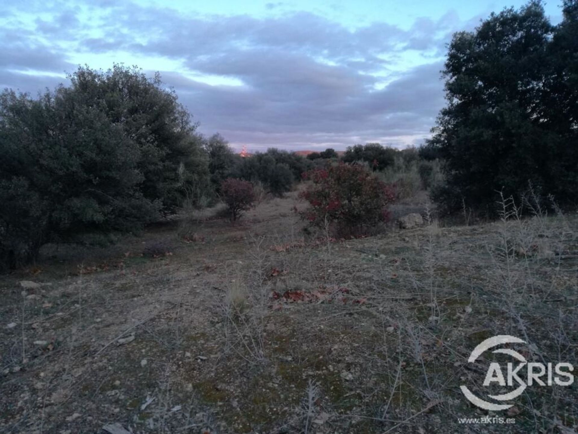 Tierra en Toledo, Castilla-La Mancha 11692198