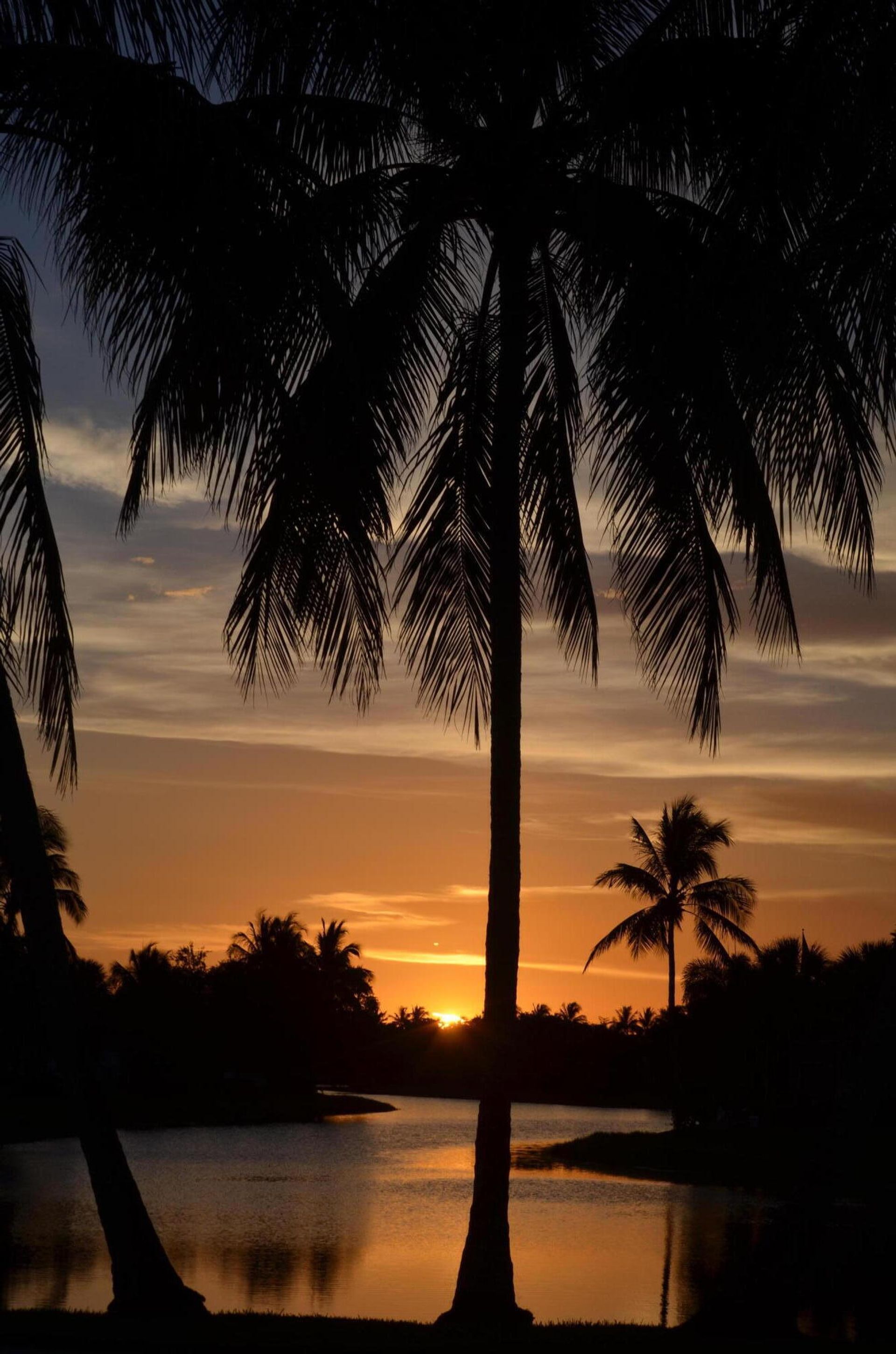 жилой дом в West Palm Beach, Florida 11692221