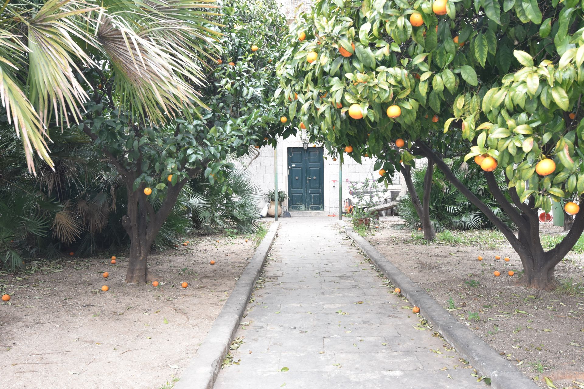 Hus i Dubrovnik, Dubrovacko-Neretvanska Zupanija 11693381