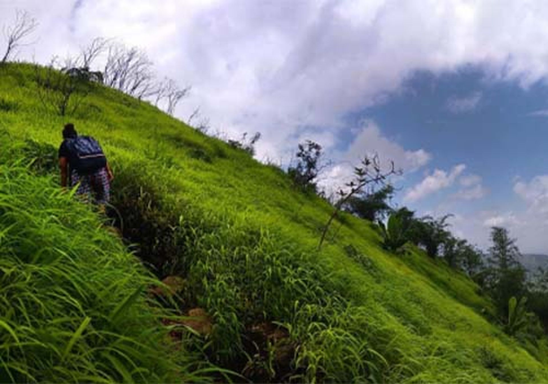 Жилой в Karjat, Maharashtra 11693439