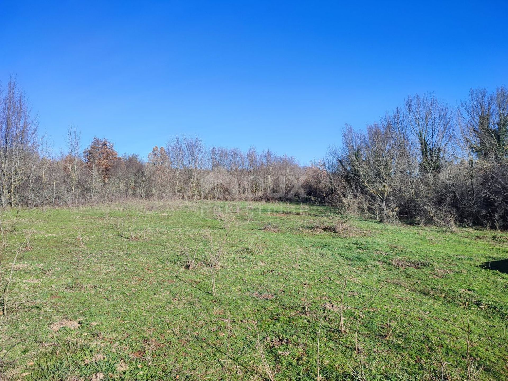 Land in Marcana, Istarska Zupanija 11693517