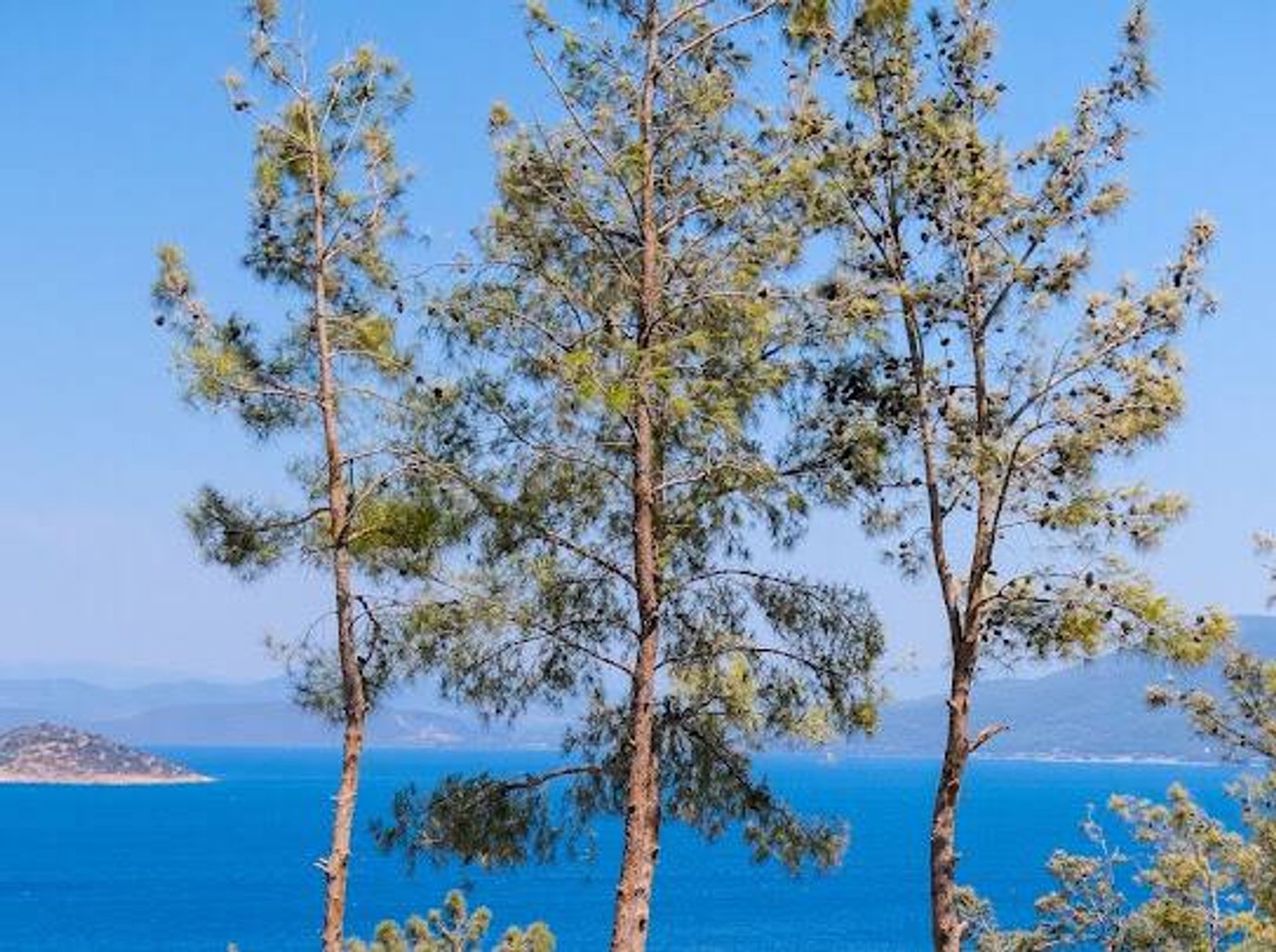 Immobilier dans Bodrum, Muğla 11695715