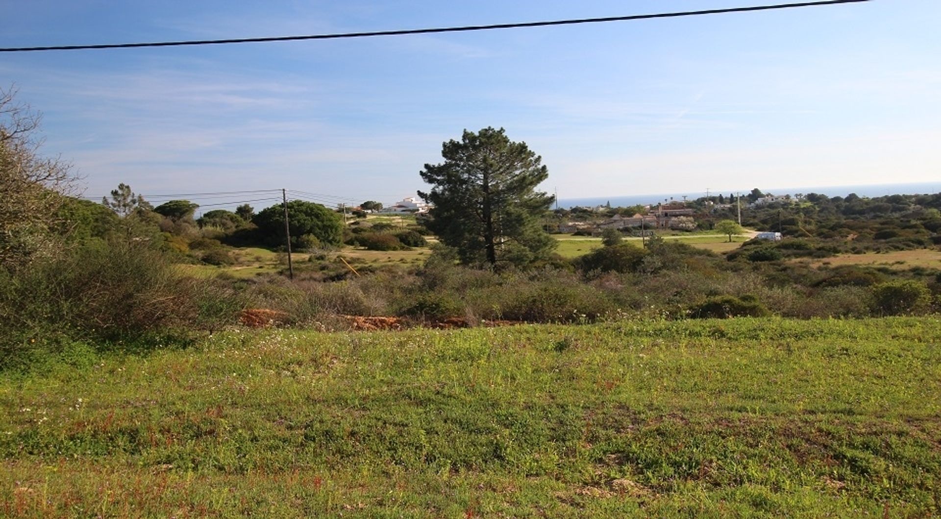 Land in Carvoeiro, Faro District 11697995