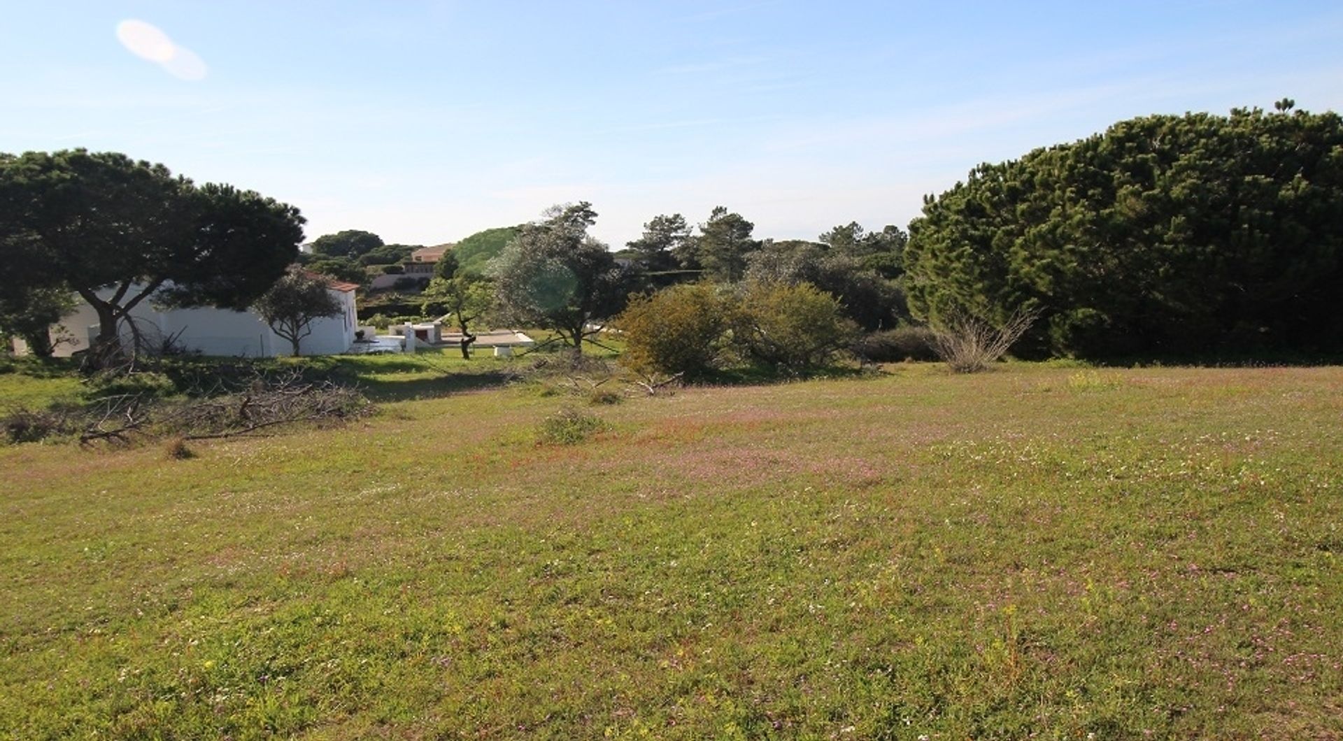 Land in Carvoeiro, Faro 11697995