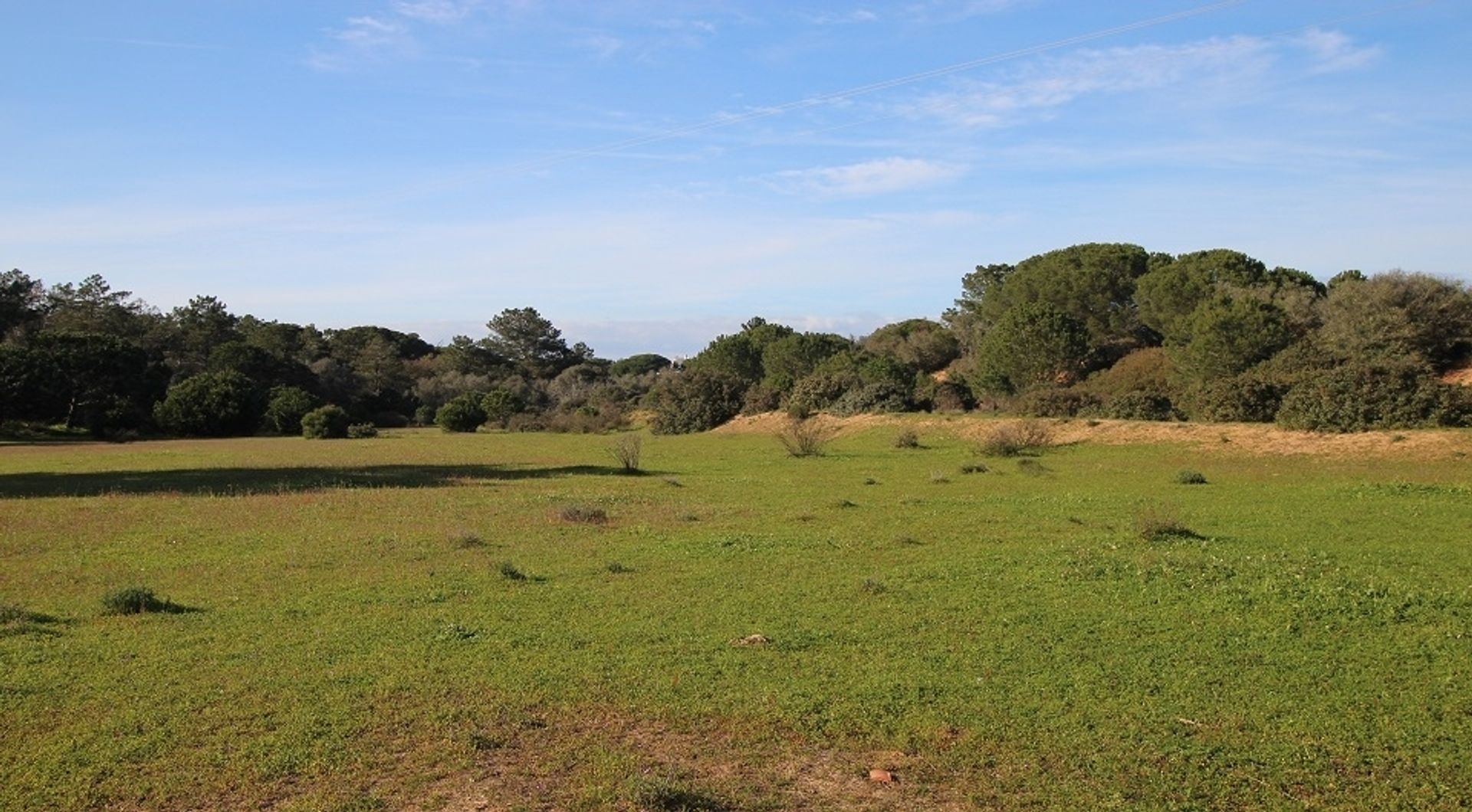 Land in Carvoeiro, Faro District 11697995