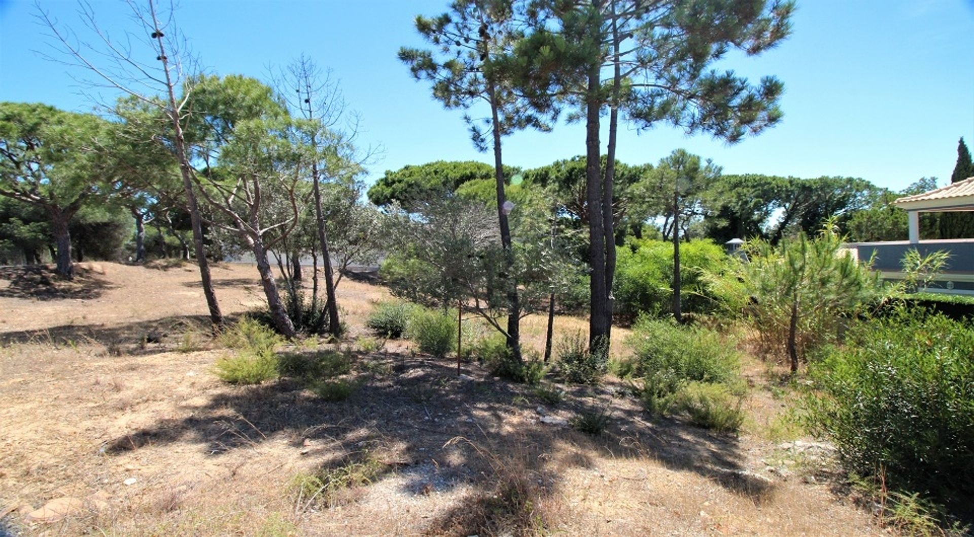 Land in Almancil, Faro 11698006