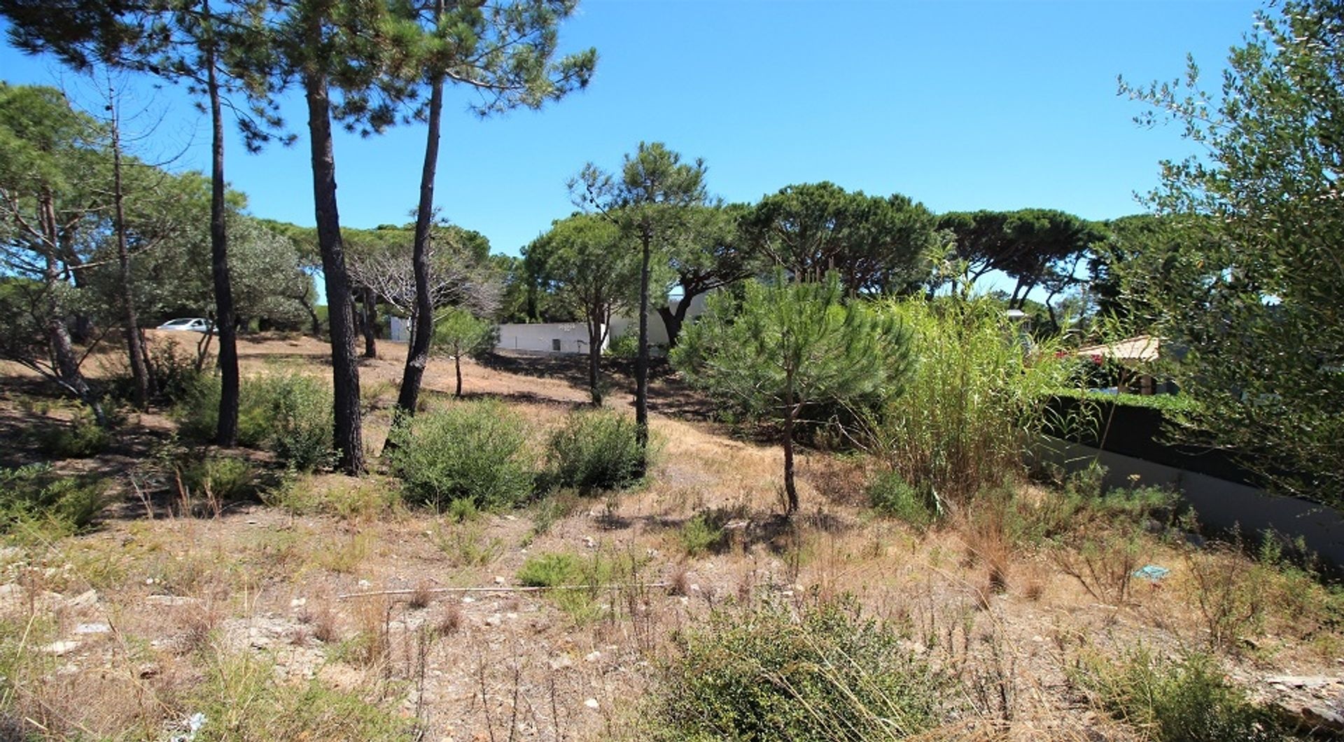 Land in Almancil, Faro 11698006