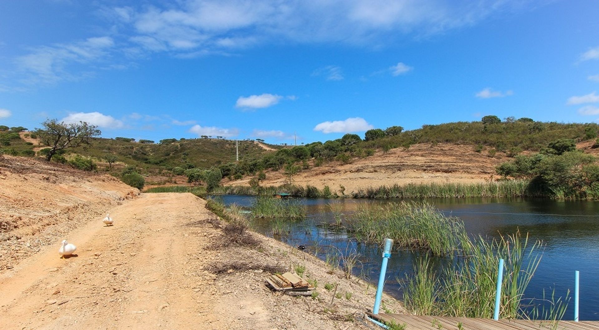 Tanah dalam Sao Joao, Faro 11698007