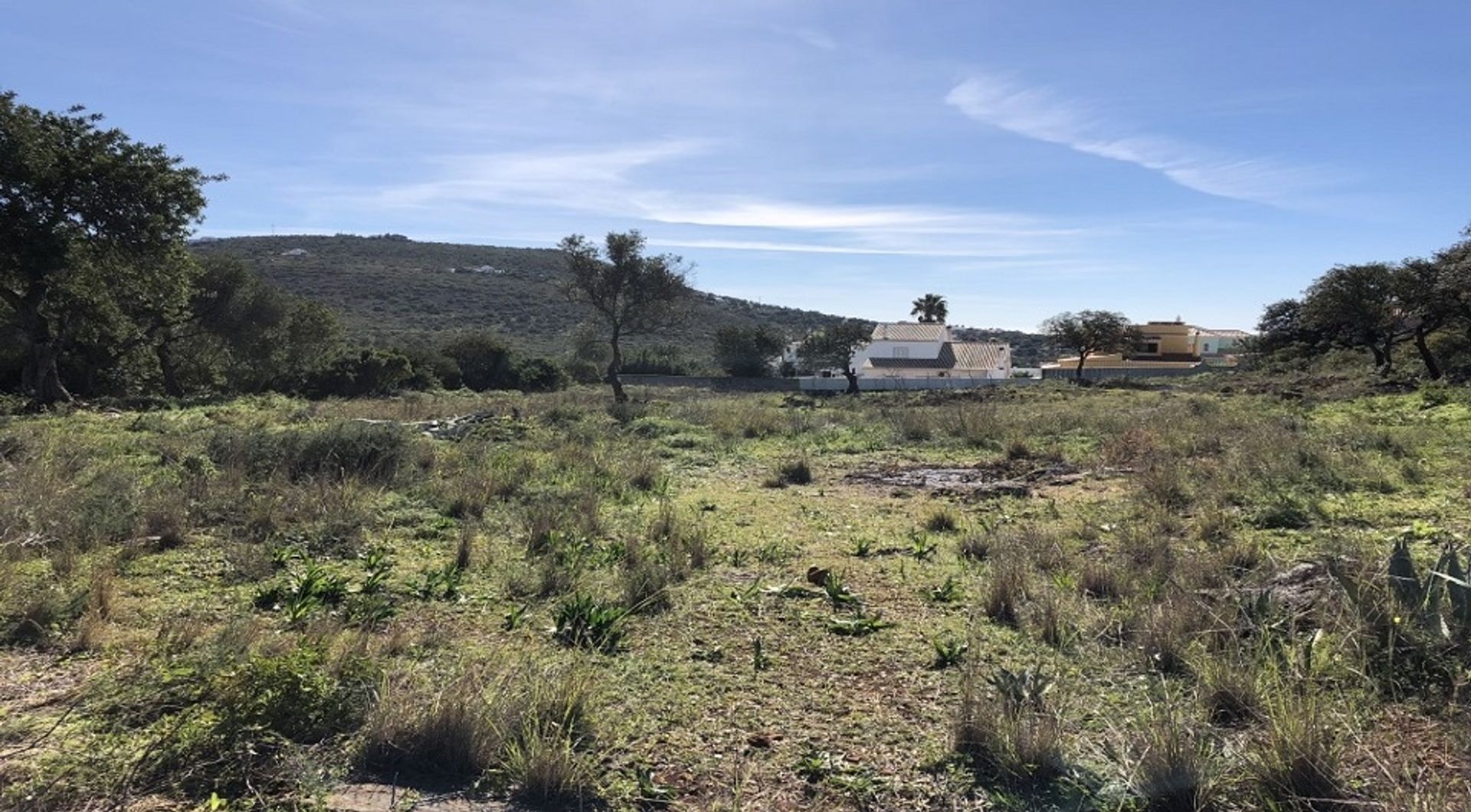 Terre dans Loulé, Faro 11698018