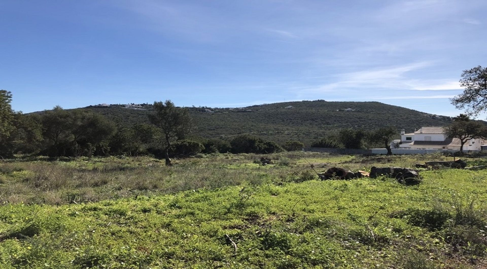 Land in Loulé, Faro 11698018