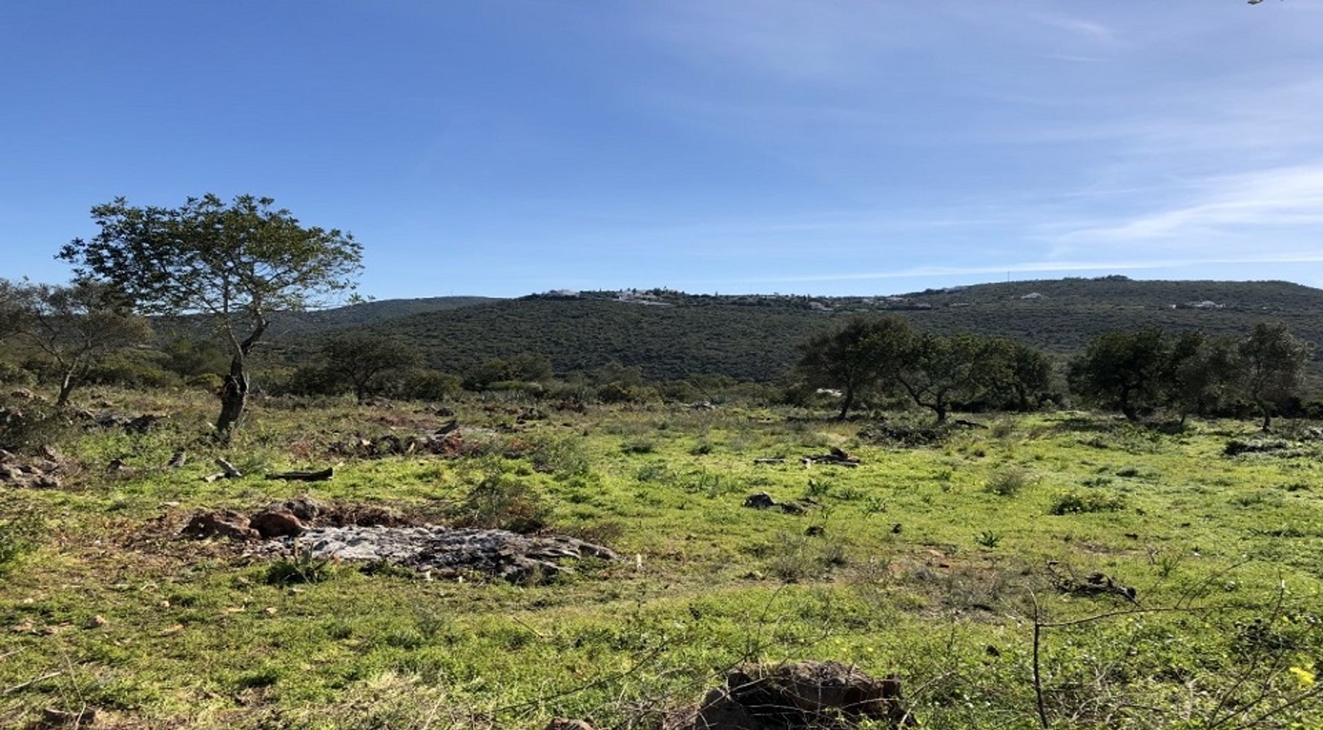 Land in Loulé, Faro 11698018