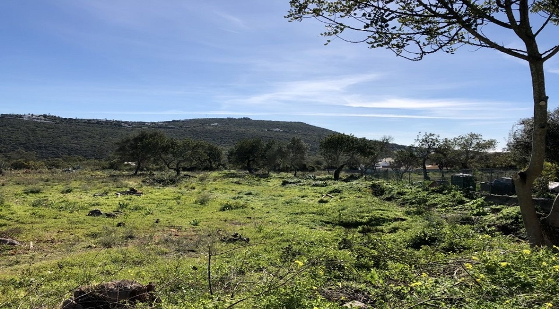 土地 在 樓勒, 法魯 11698018