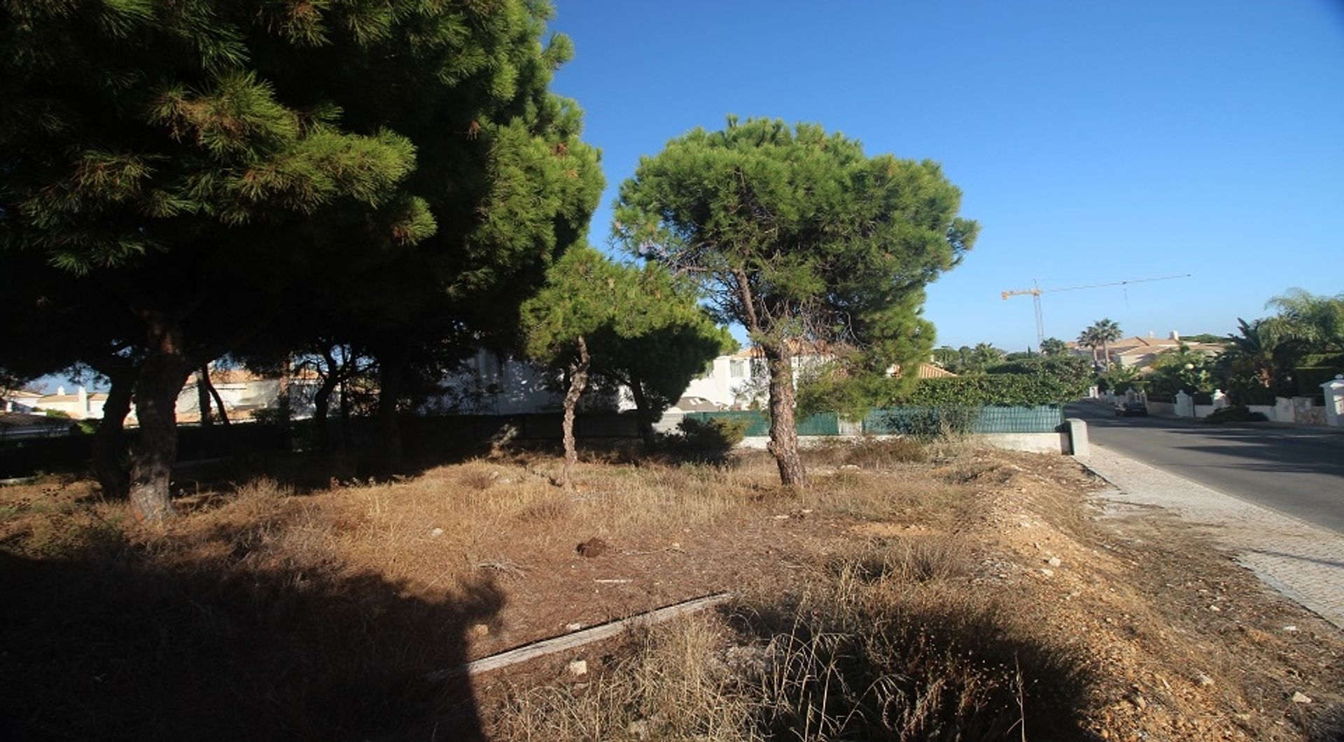 Land in Loule, Faro 11698023