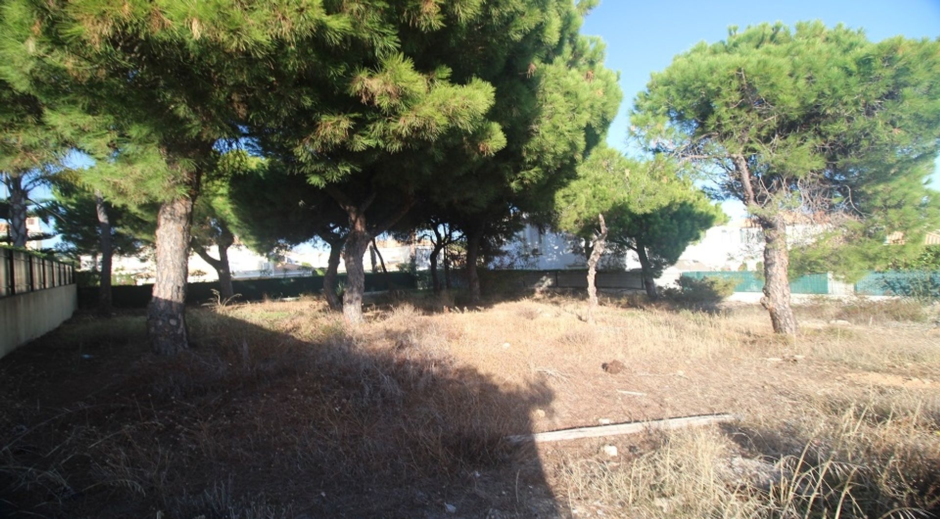 Land i Loule, Faro 11698023