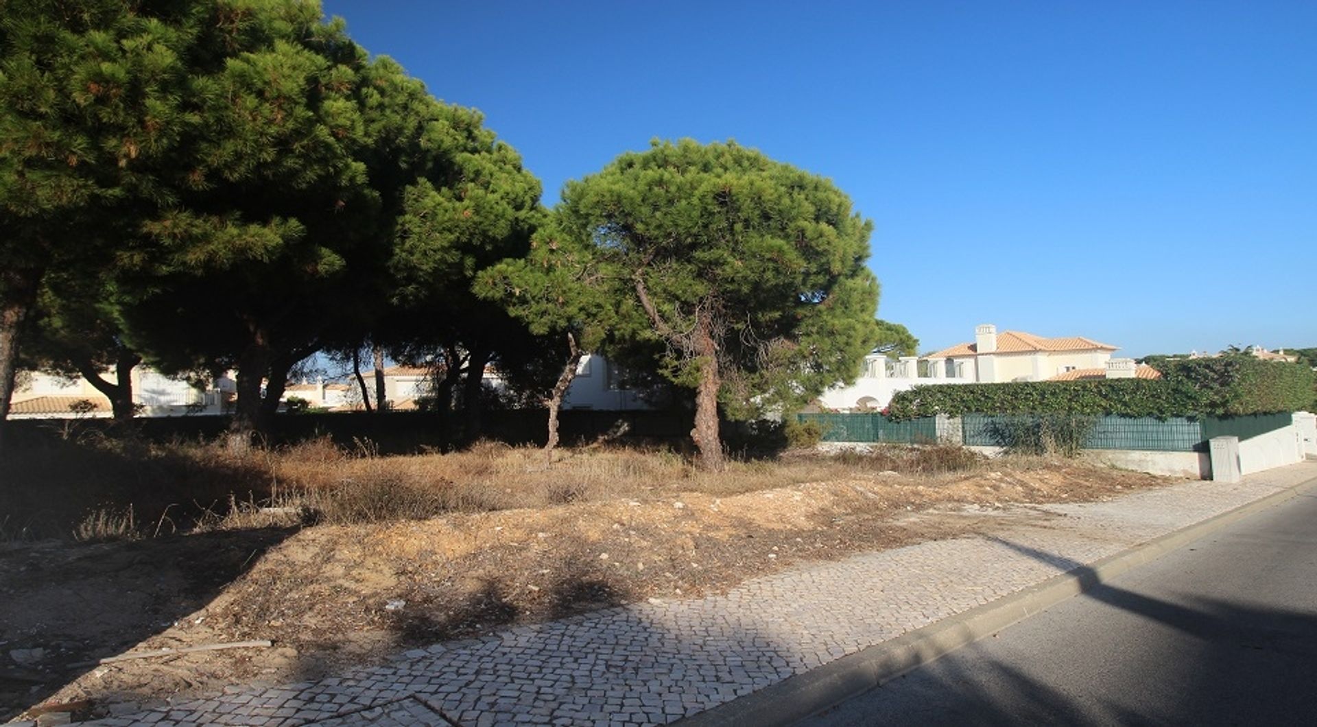 Land in Loule, Faro 11698023