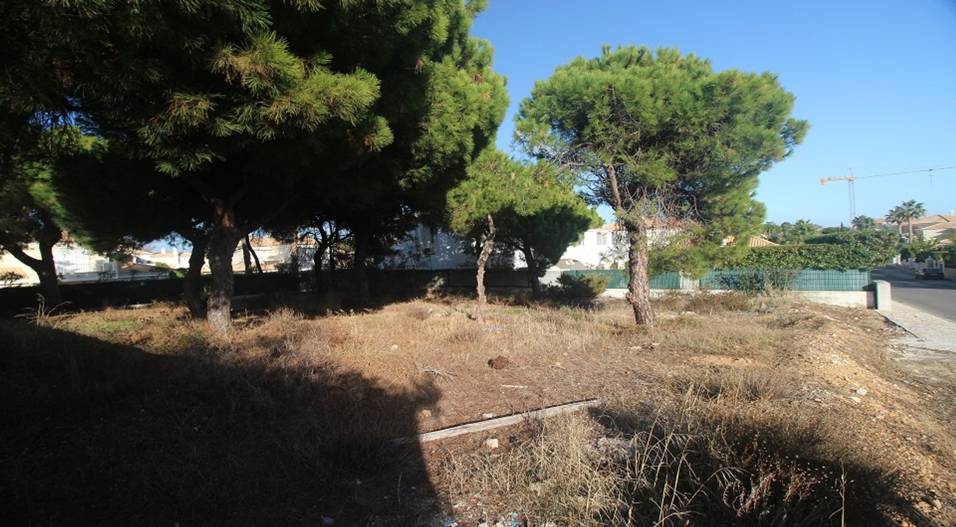 Land in Loulé, Faro 11698023