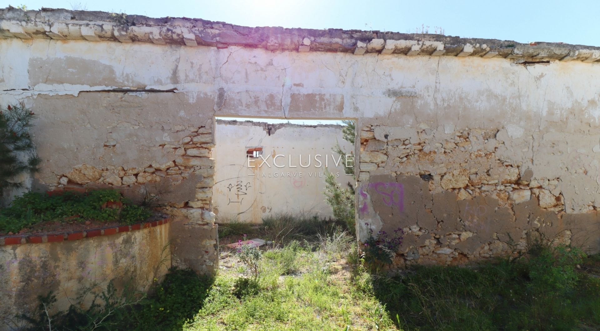 Land in Carvoeiro, Faro 11698040