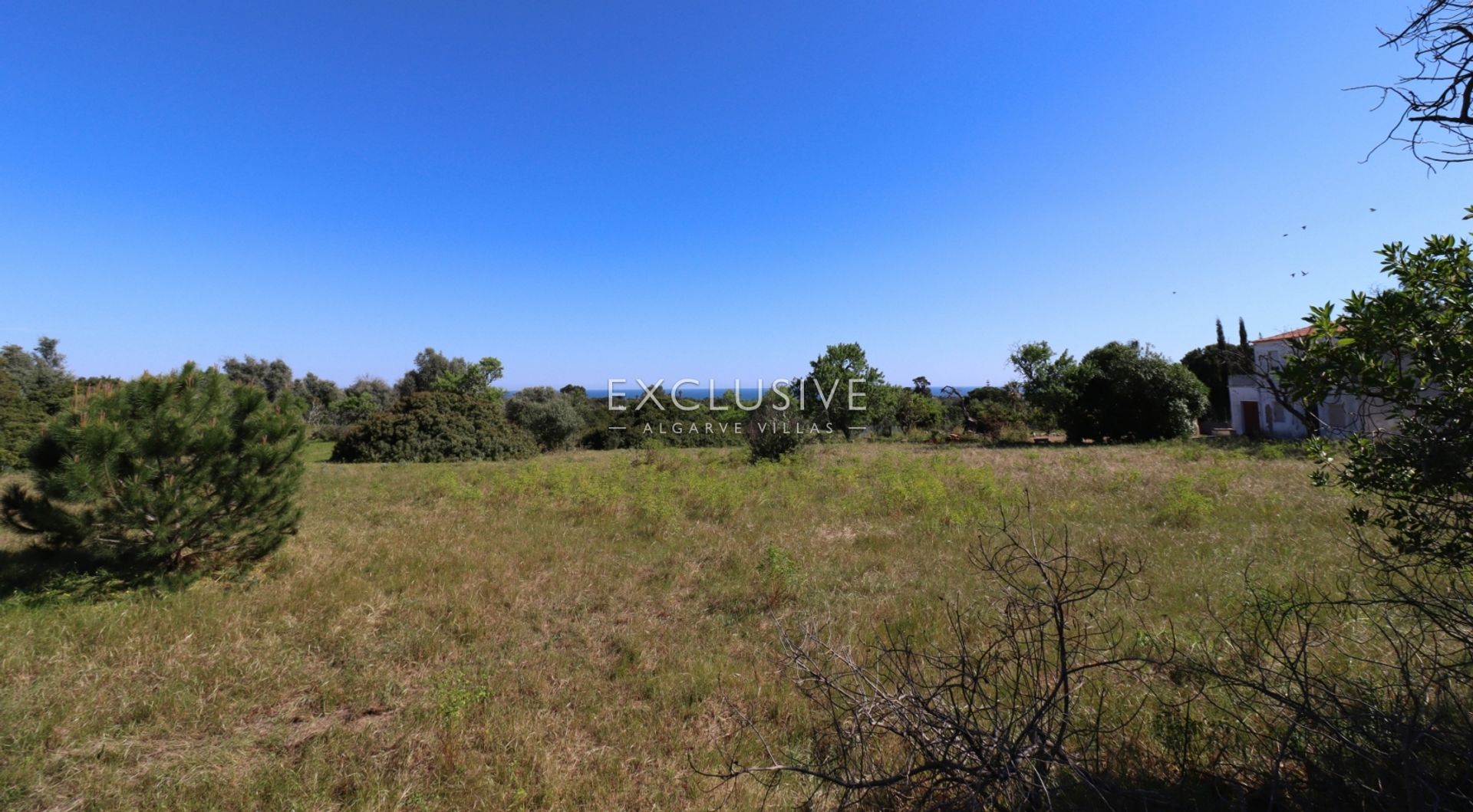 Land in Carvoeiro, Faro 11698040