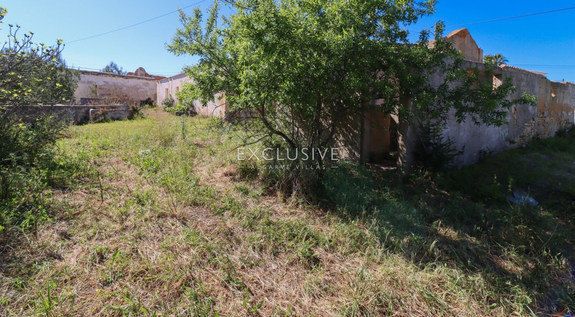 Land in Carvoeiro, Faro 11698040