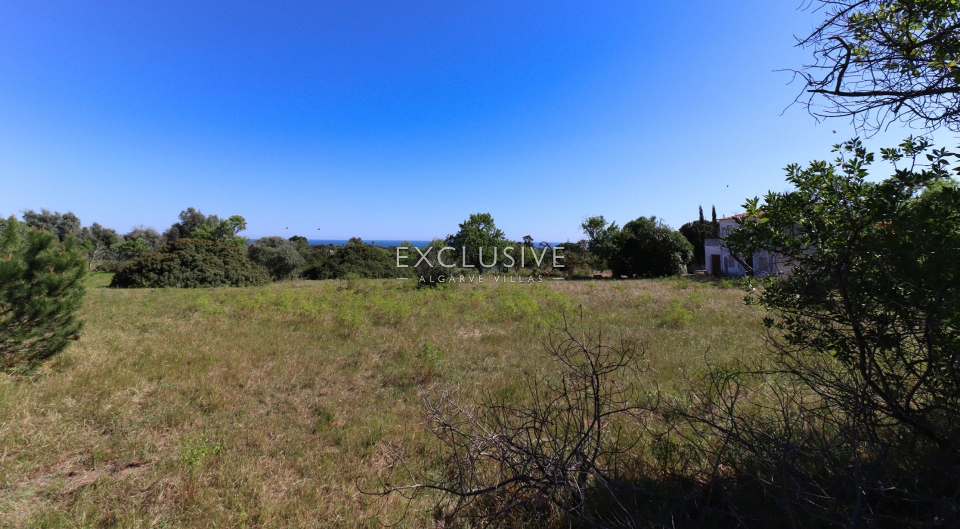 Land in Carvoeiro, Faro 11698040