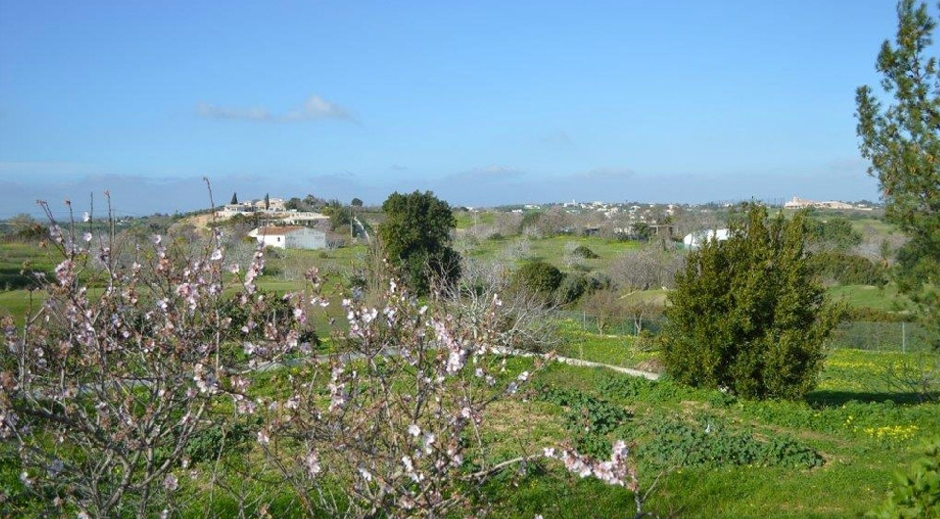 ארץ ב לאגוס, פארו 11698042