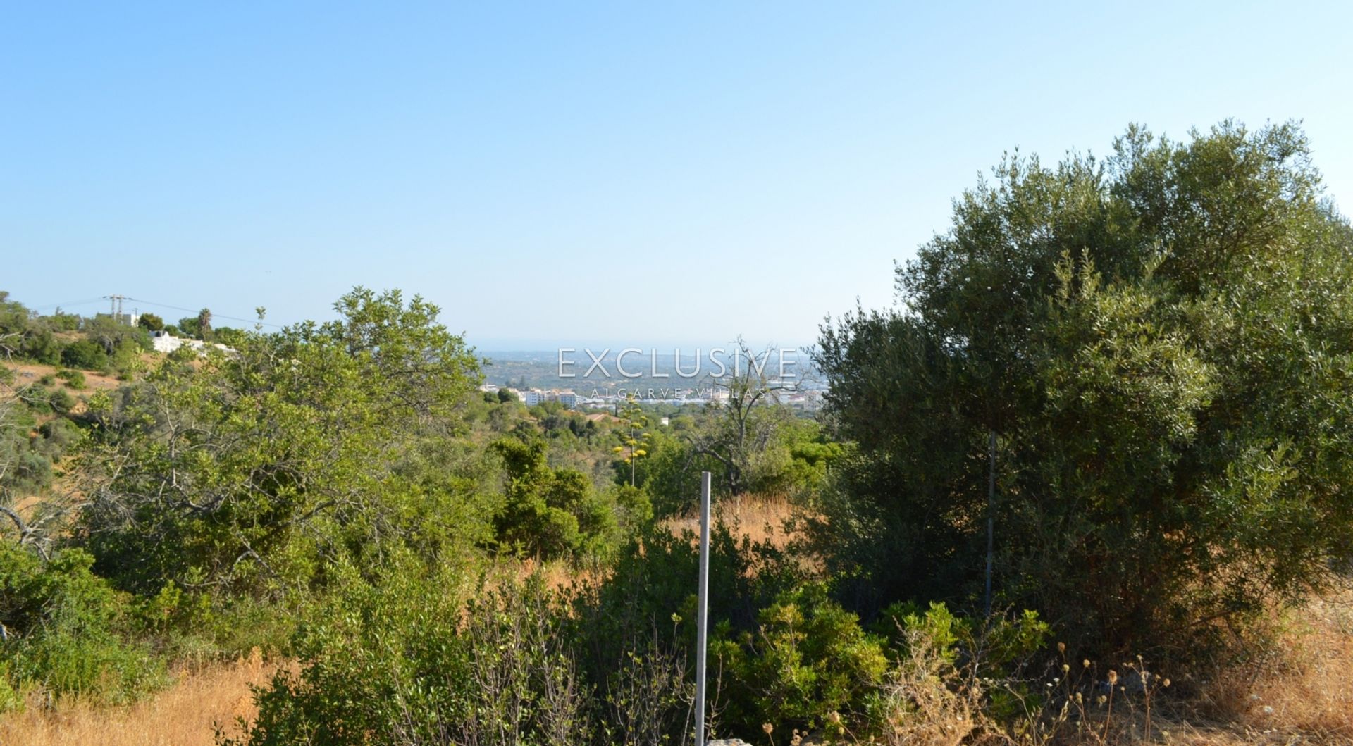 土地 在 Loulé, Faro District 11698045