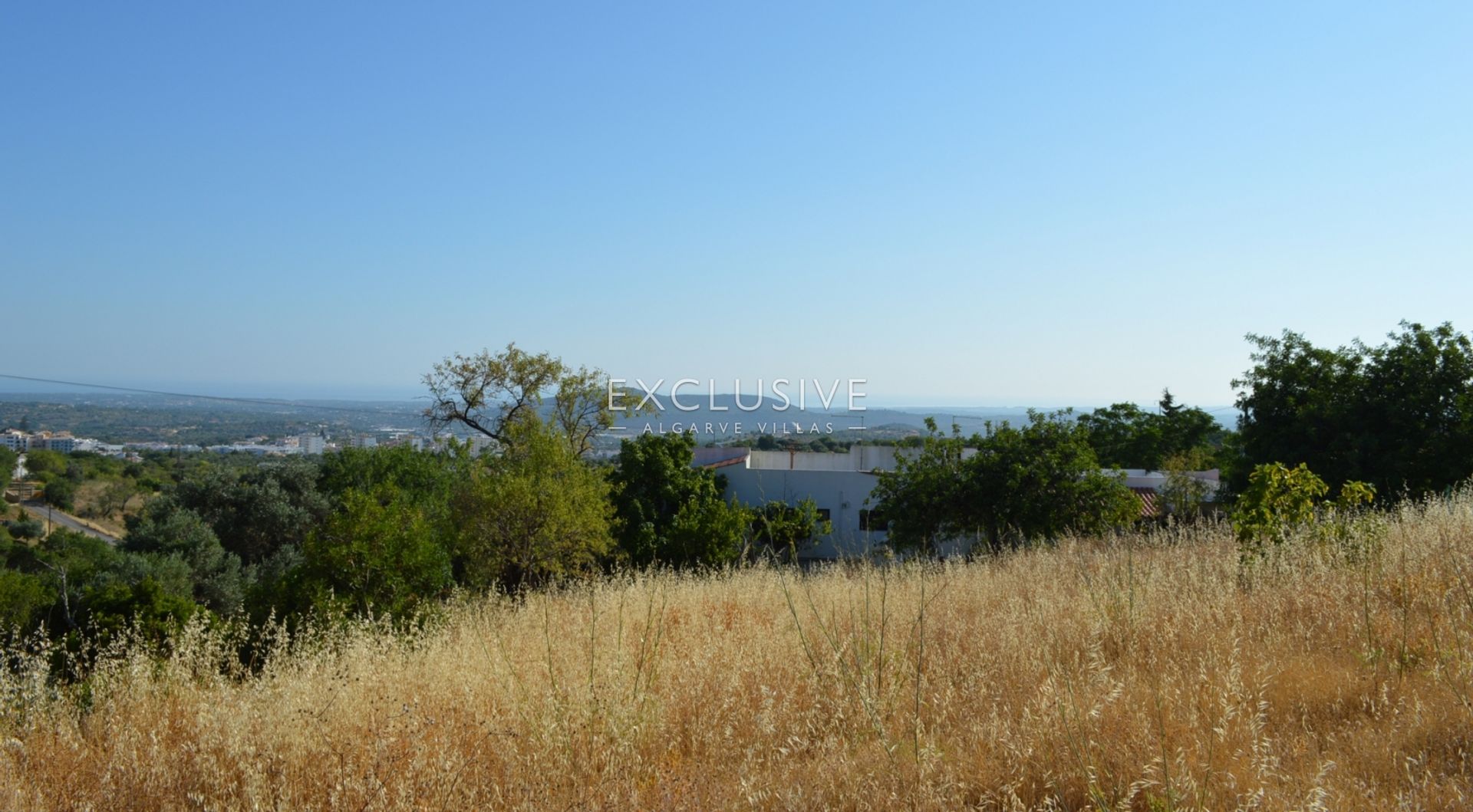 Terre dans Loulé, Faro 11698045