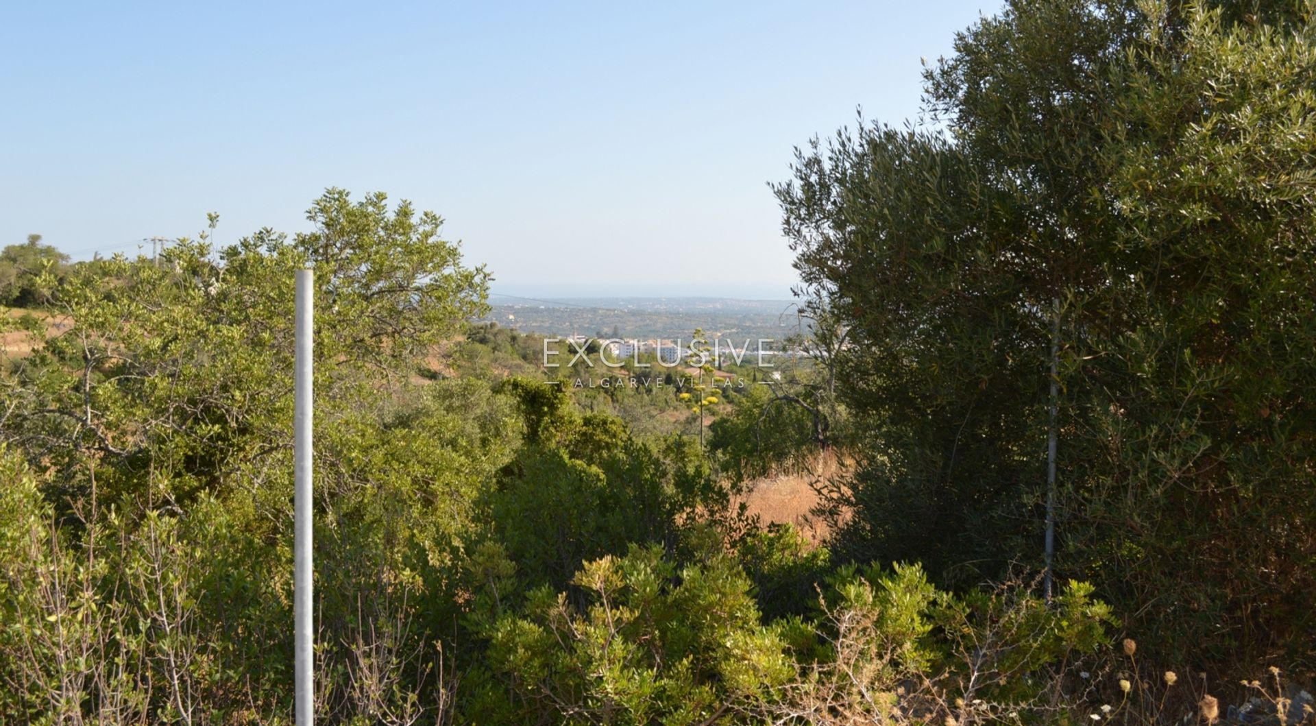 土地 在 Loulé, Faro District 11698045