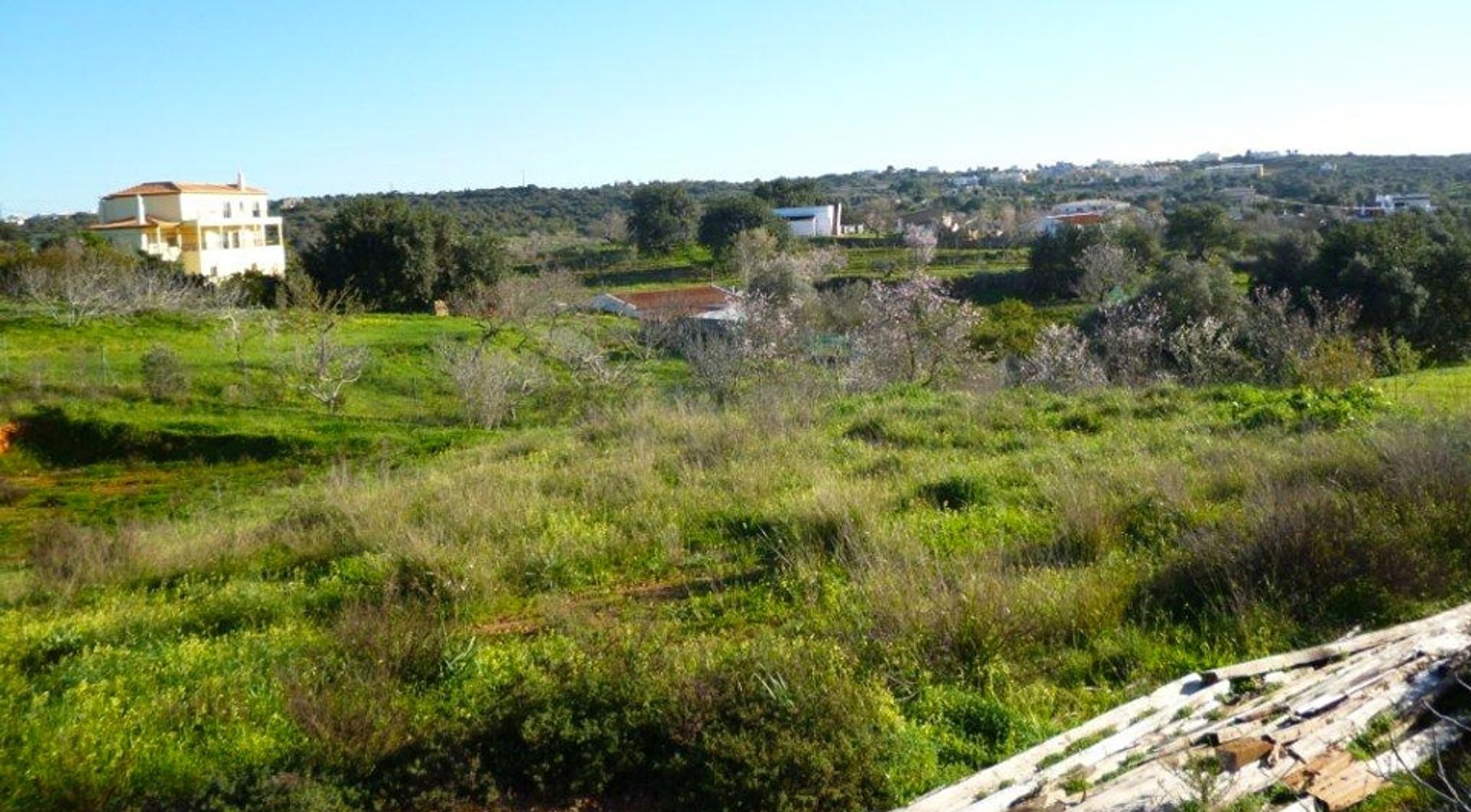 Terre dans Estômbar, Faro District 11698048