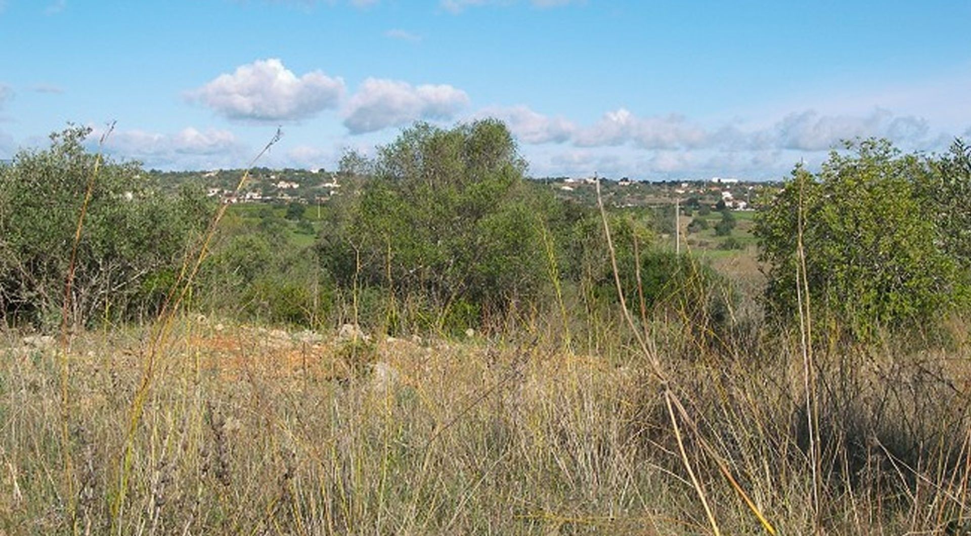 Land in Silves, Faro 11698054