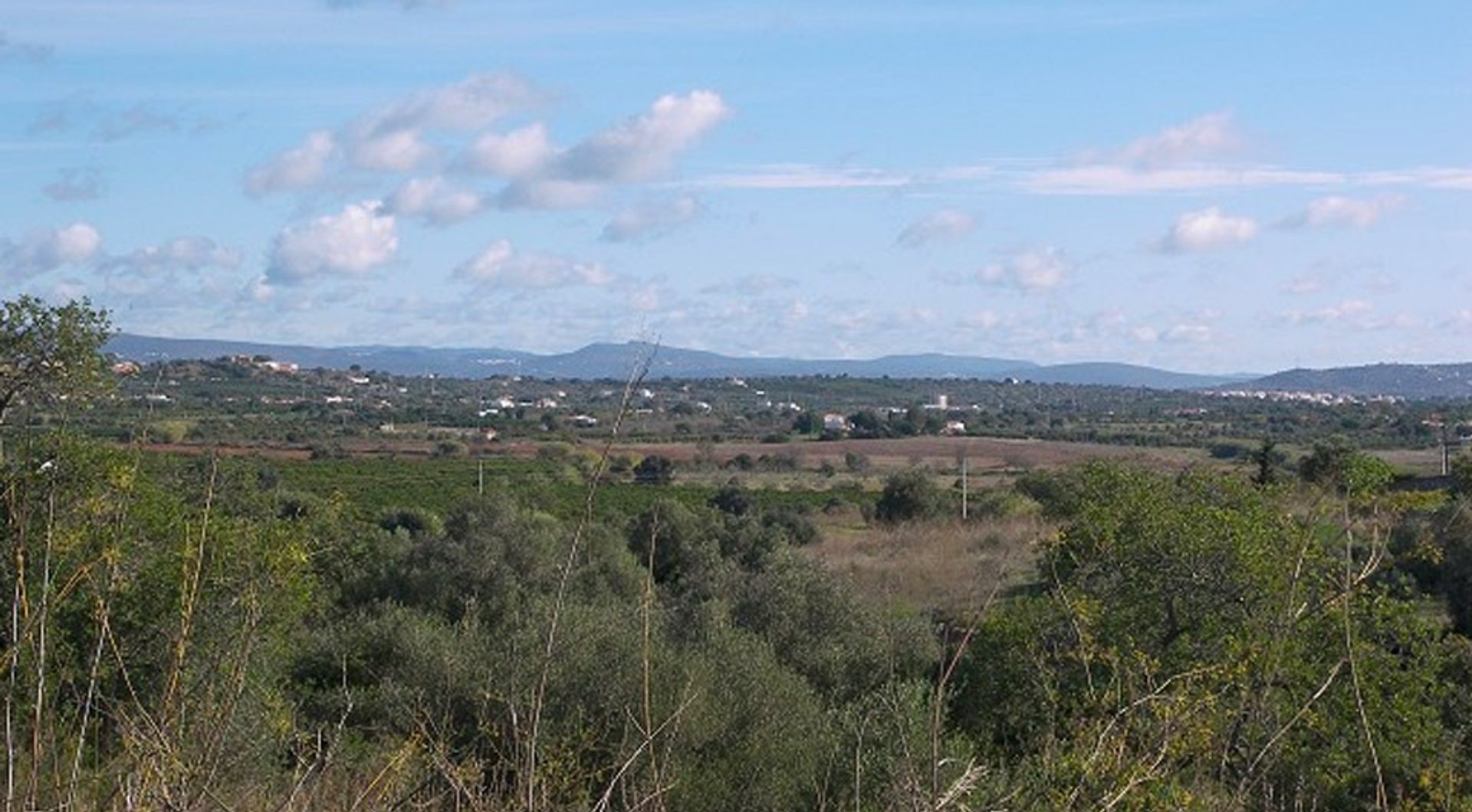 Land i Silves, Faro 11698054