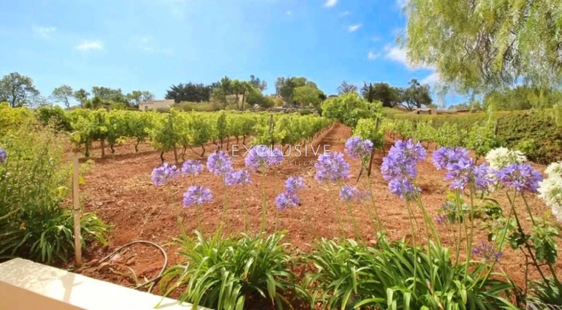 Land in Praia da Luz, Faro District 11698055