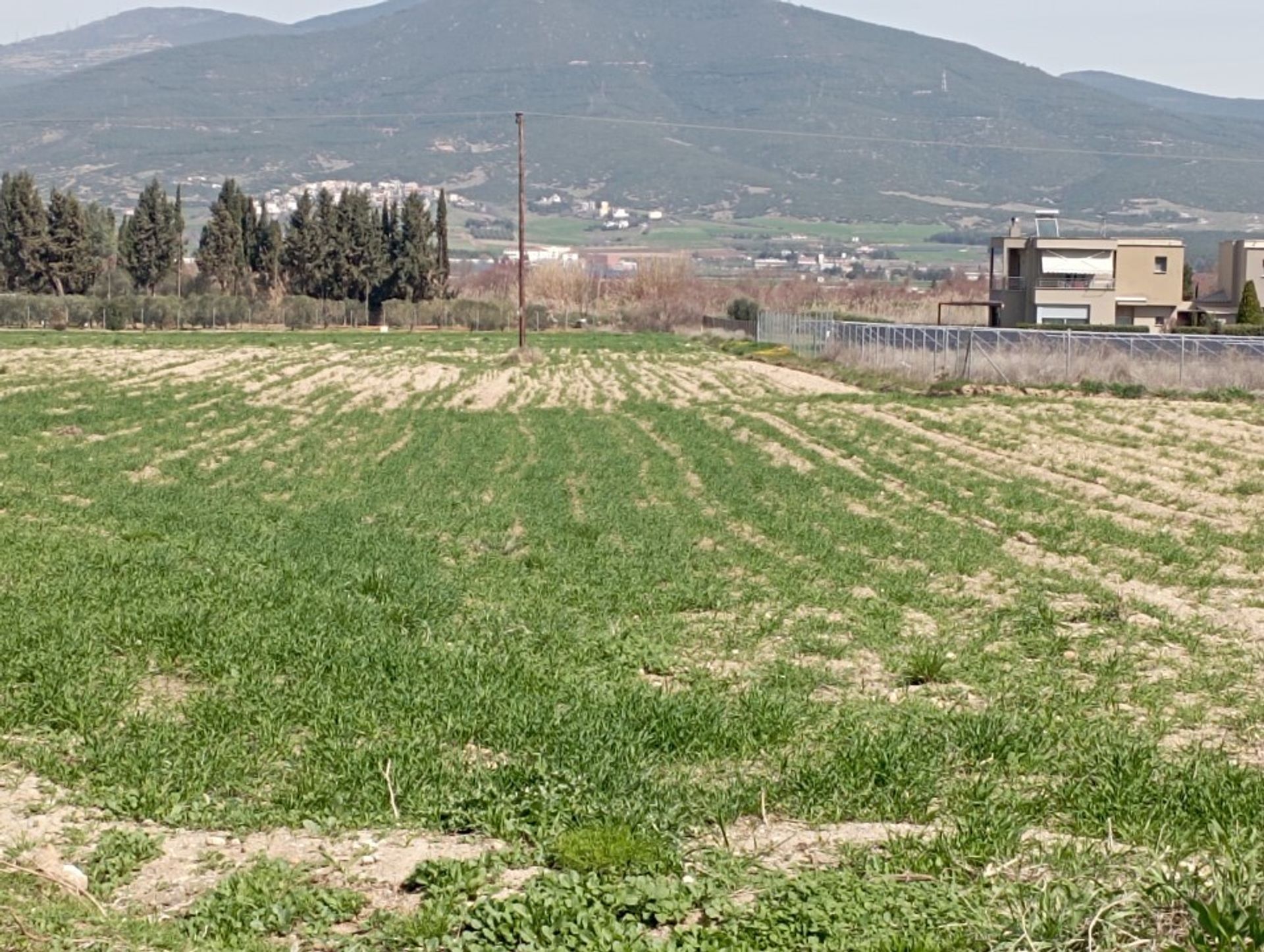 Land in Nea Raidestos, Kentriki Makedonia 11698650