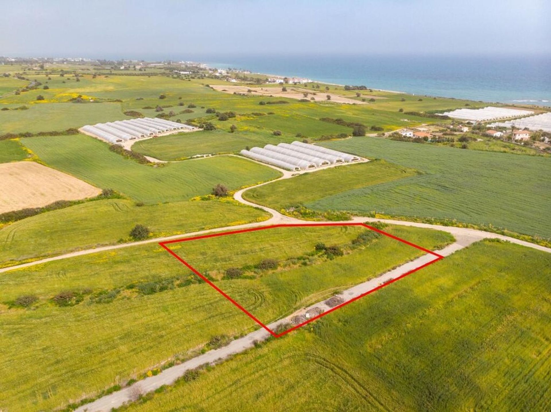 Land im Zygi, Larnaka 11698678