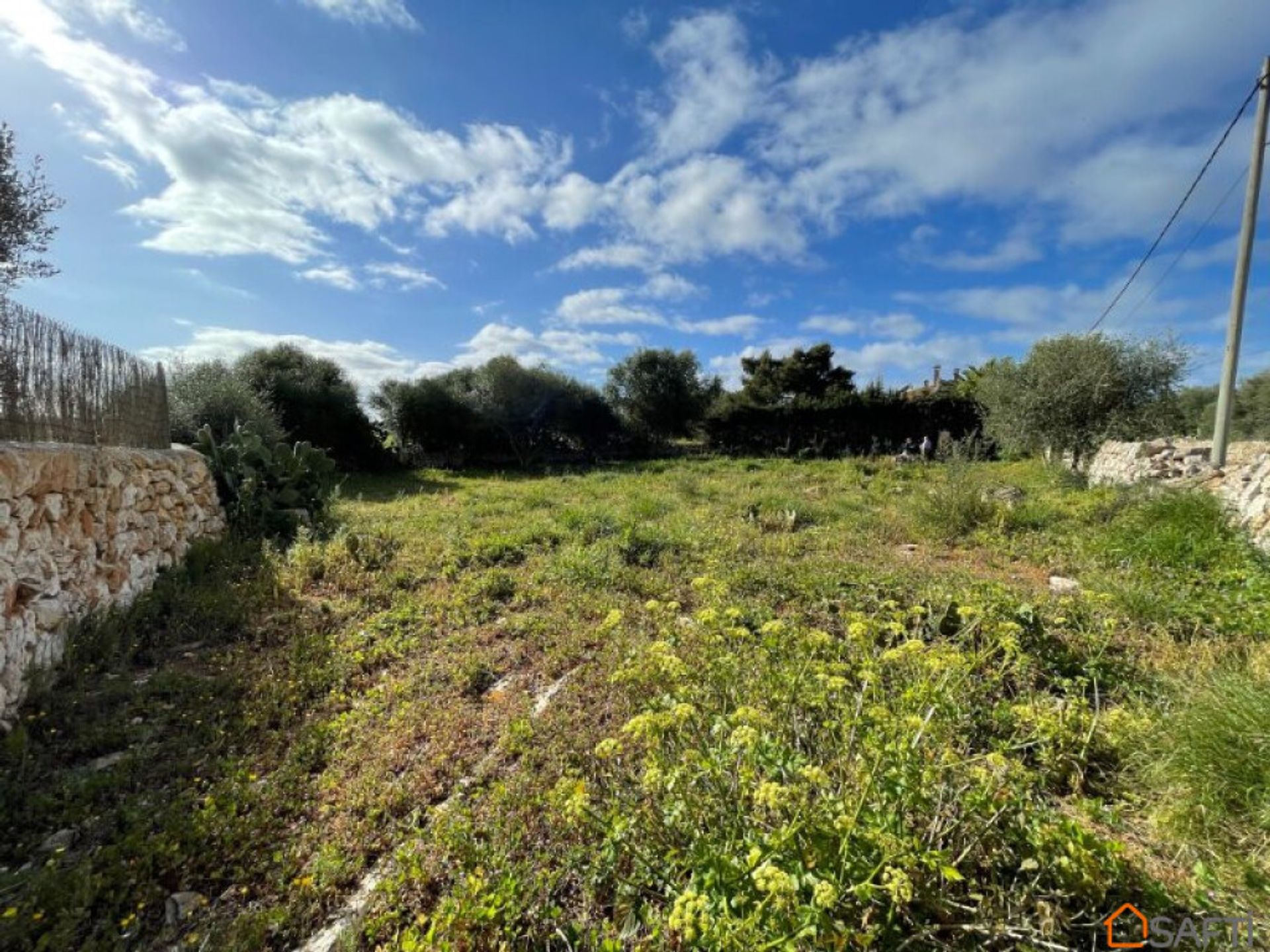 Tanah di Ses Salines, Pulau Balearic 11699275