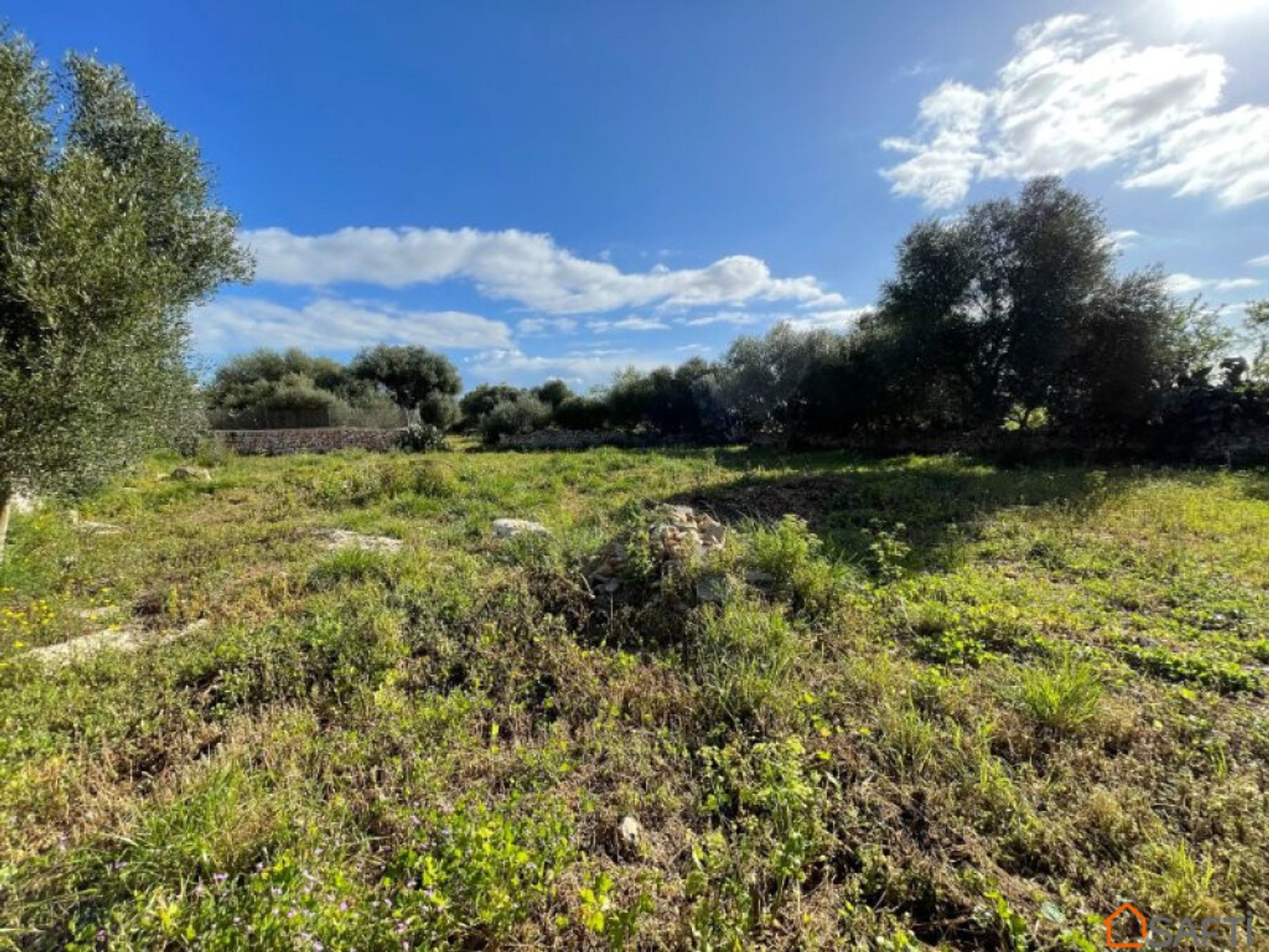 Tanah di Ses Salines, Pulau Balearic 11699275