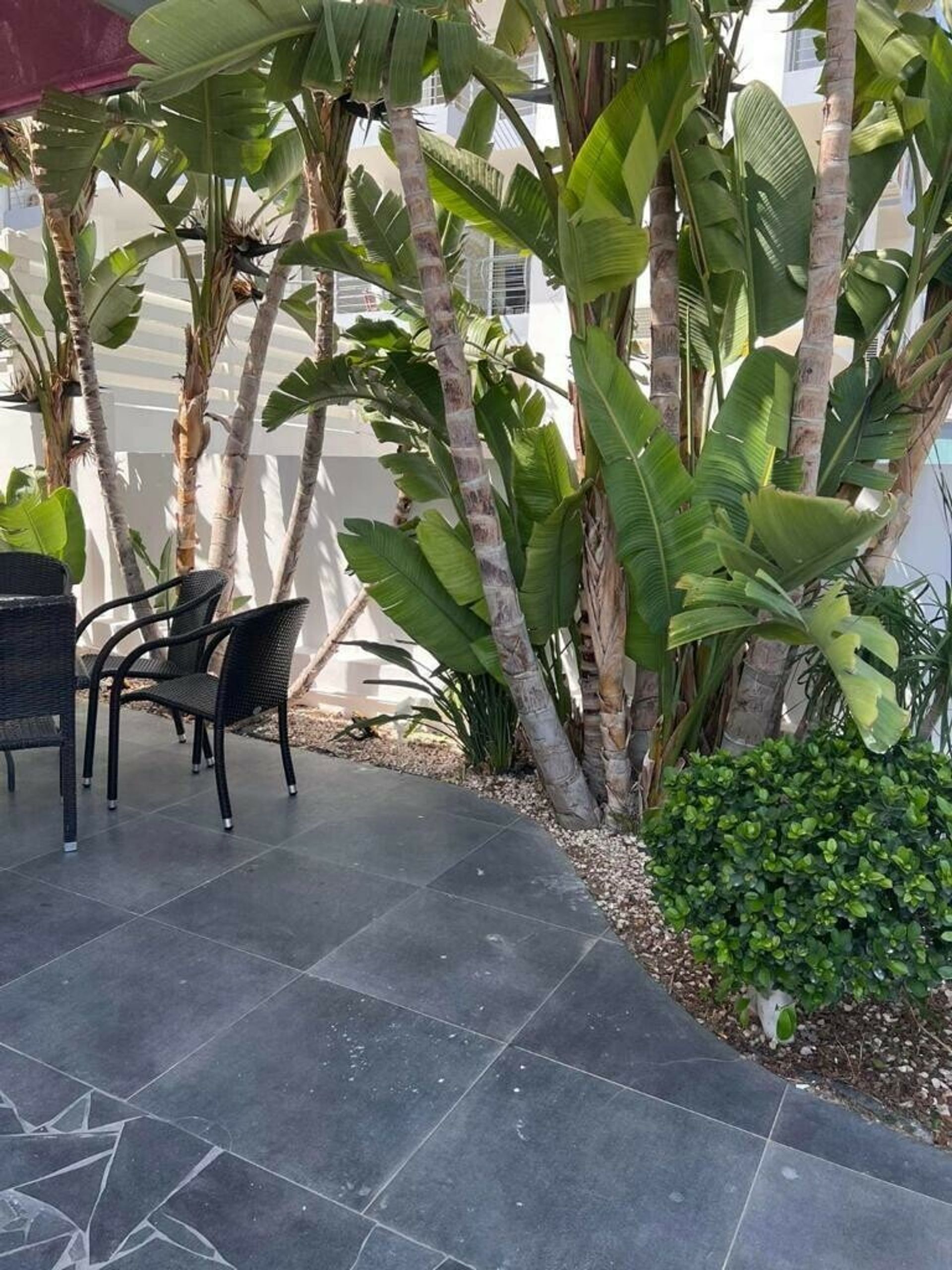 casa en Livadia, Larnaca 11703076