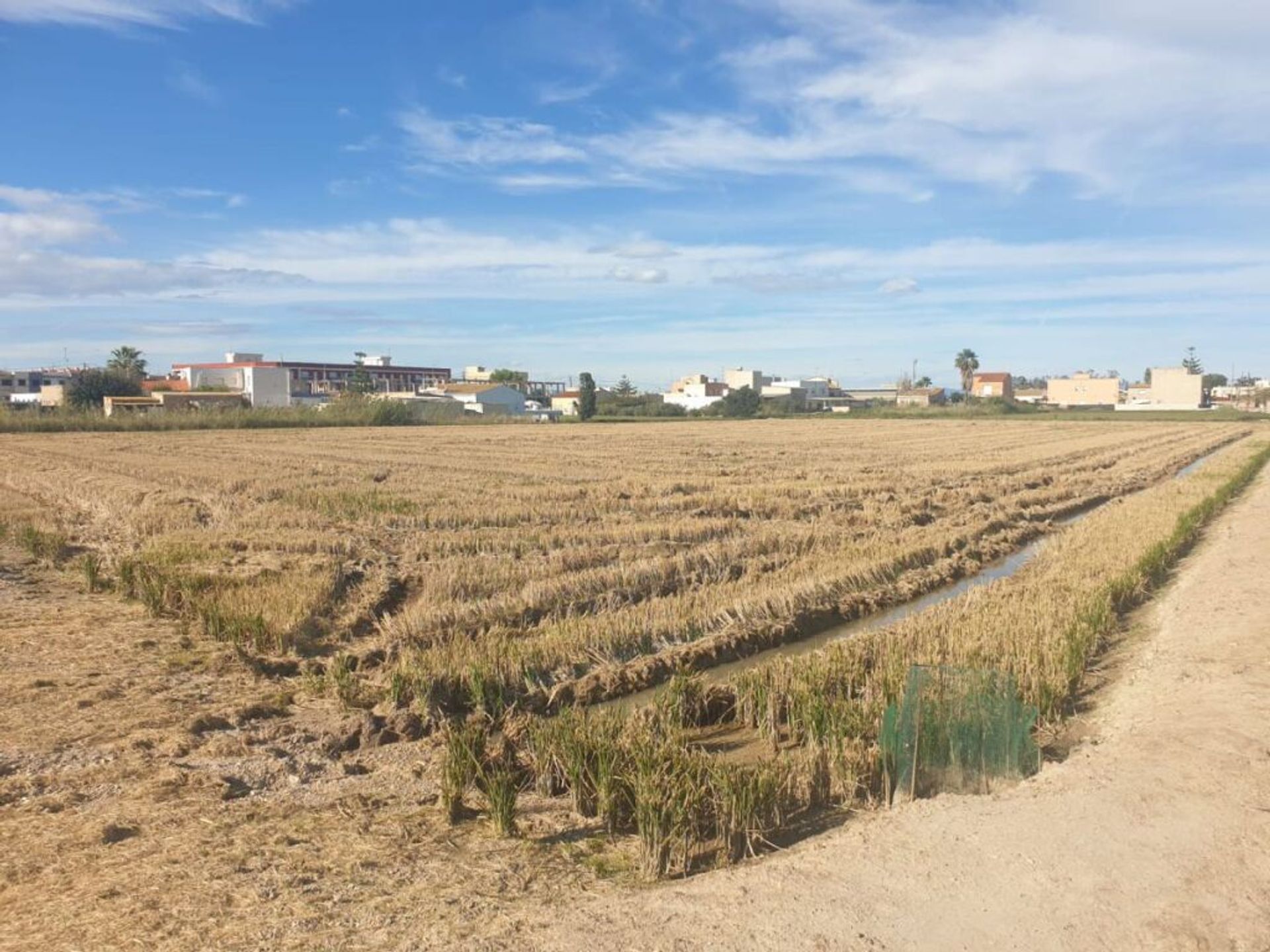 Land i Sant Jaume d'Enveja, Catalunya 11704408