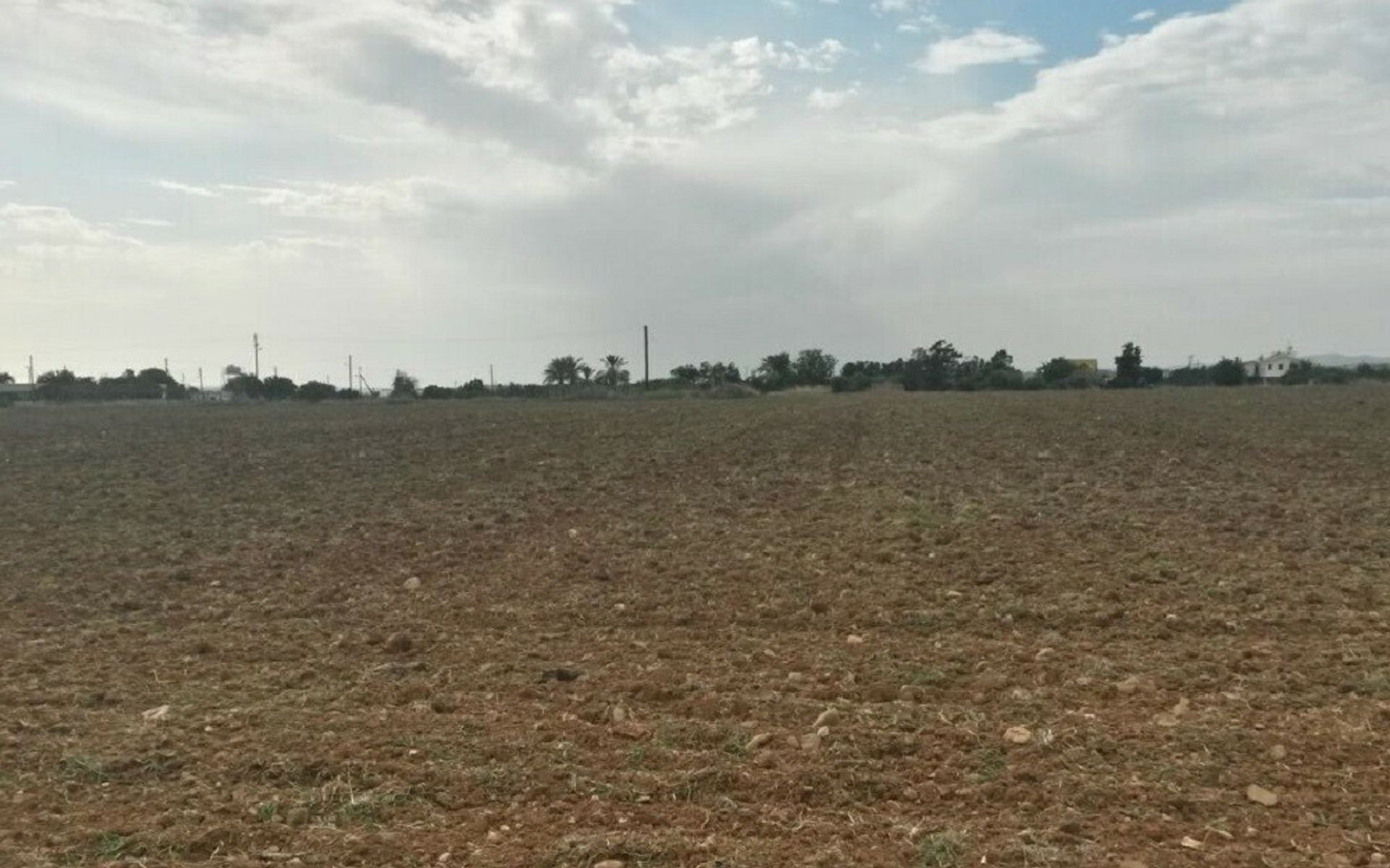 Land in Agios Theodoros, F139 11704778