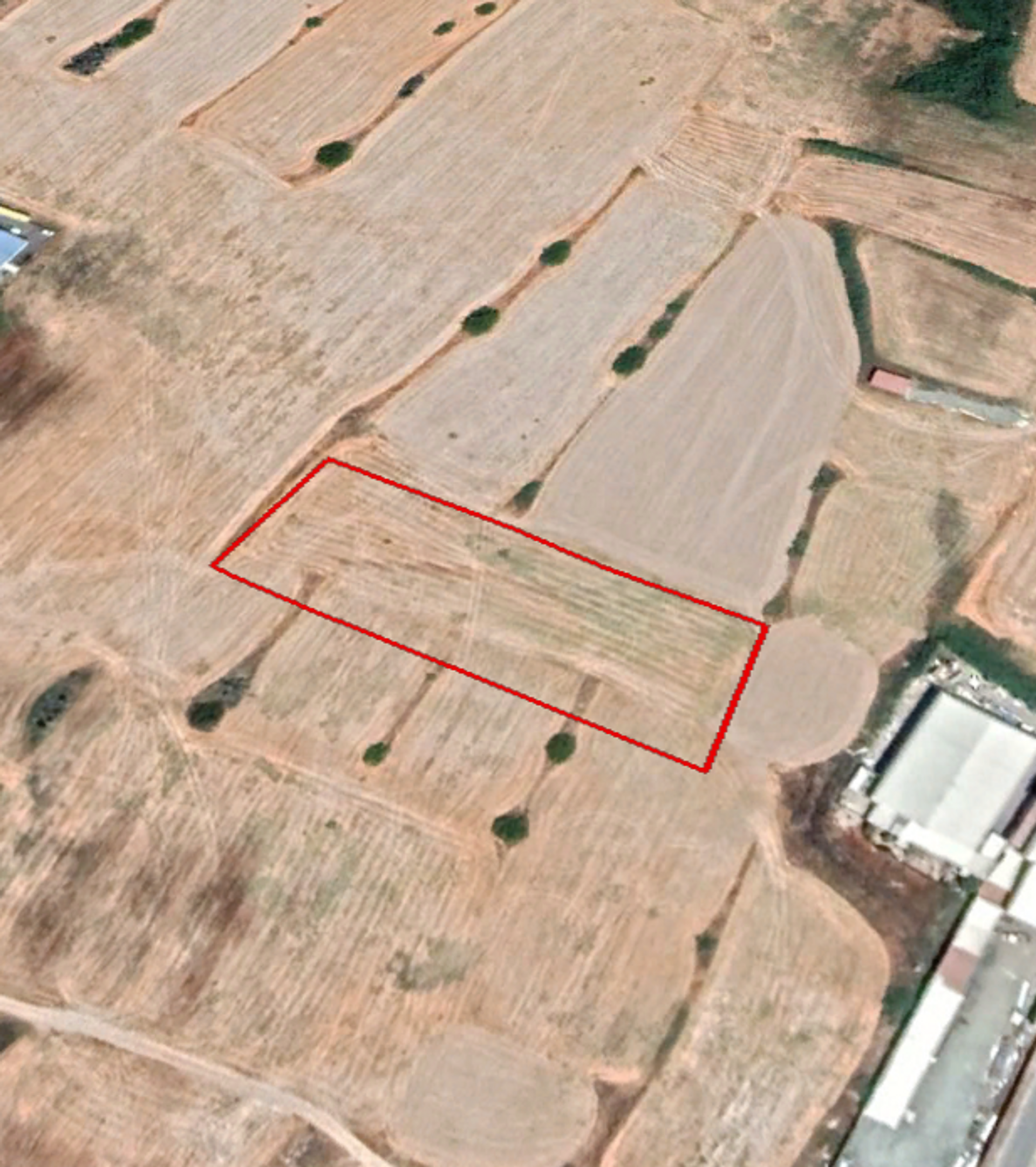 Land i Aradippou, 57 Archiepiskopou Makariou III 11704819