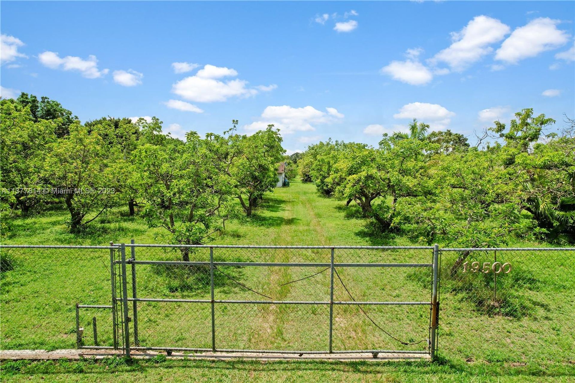 Будинок в Homestead, Florida 11705870