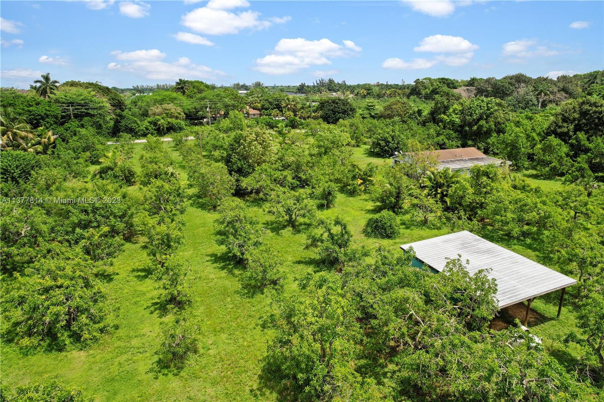 casa no Terra Vermelha, Flórida 11705870