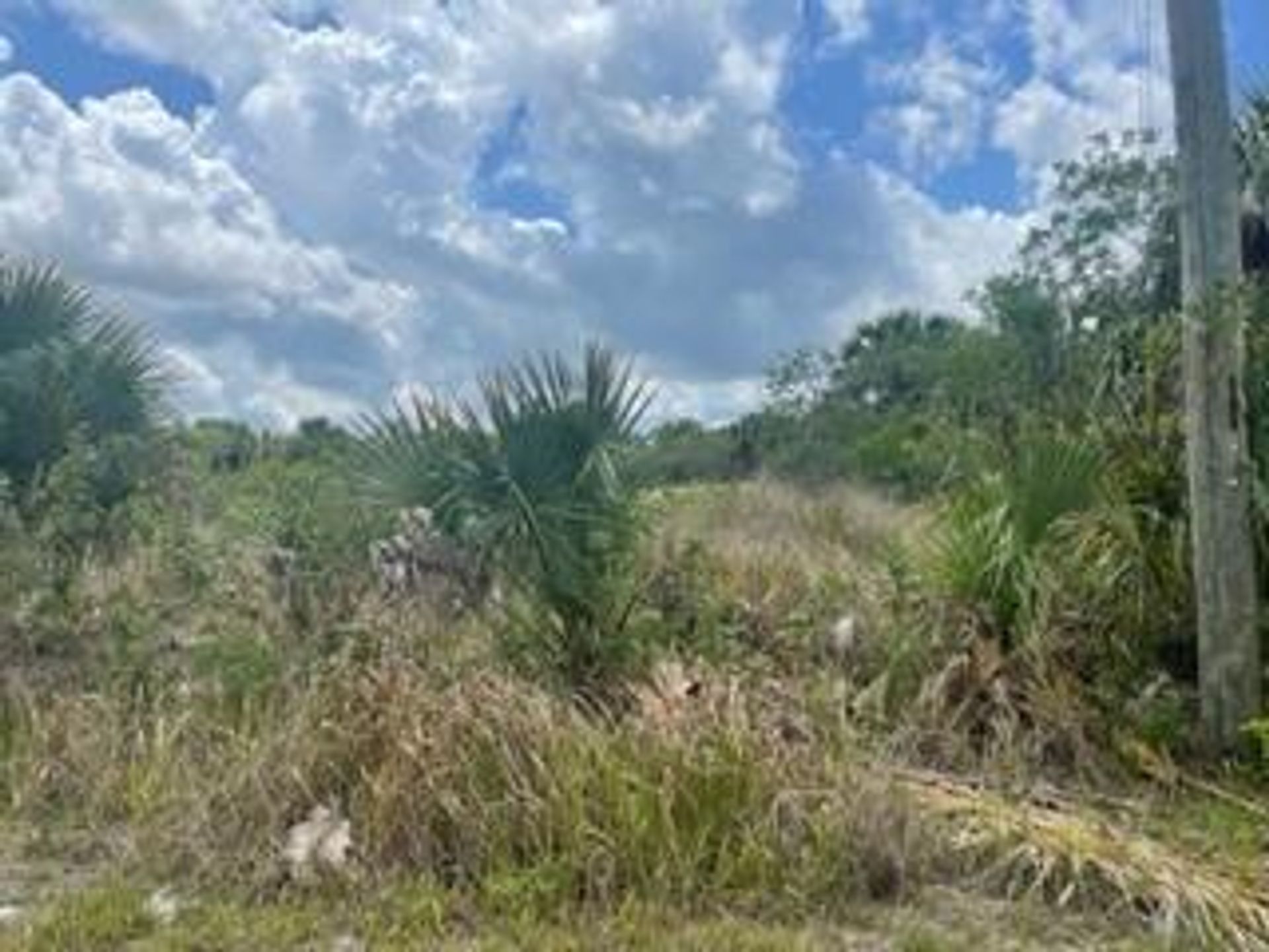 Terre dans Baie des Palmiers, Floride 11705905