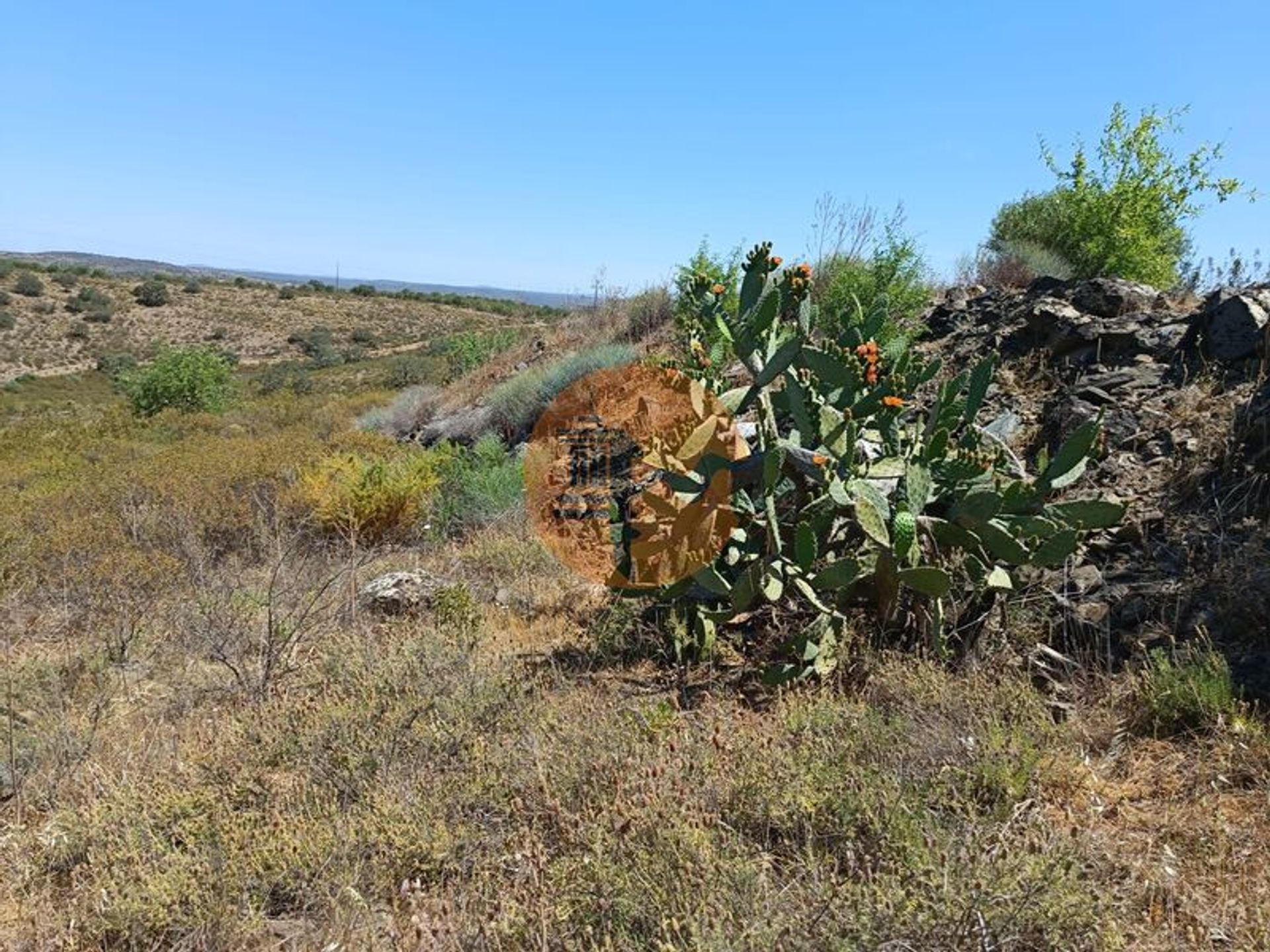 Land in Odeleite, Faro 11706249