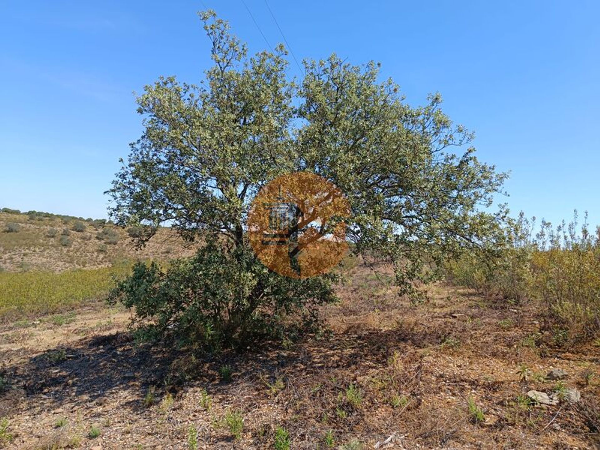 Land in Odeleite, Faro 11706249