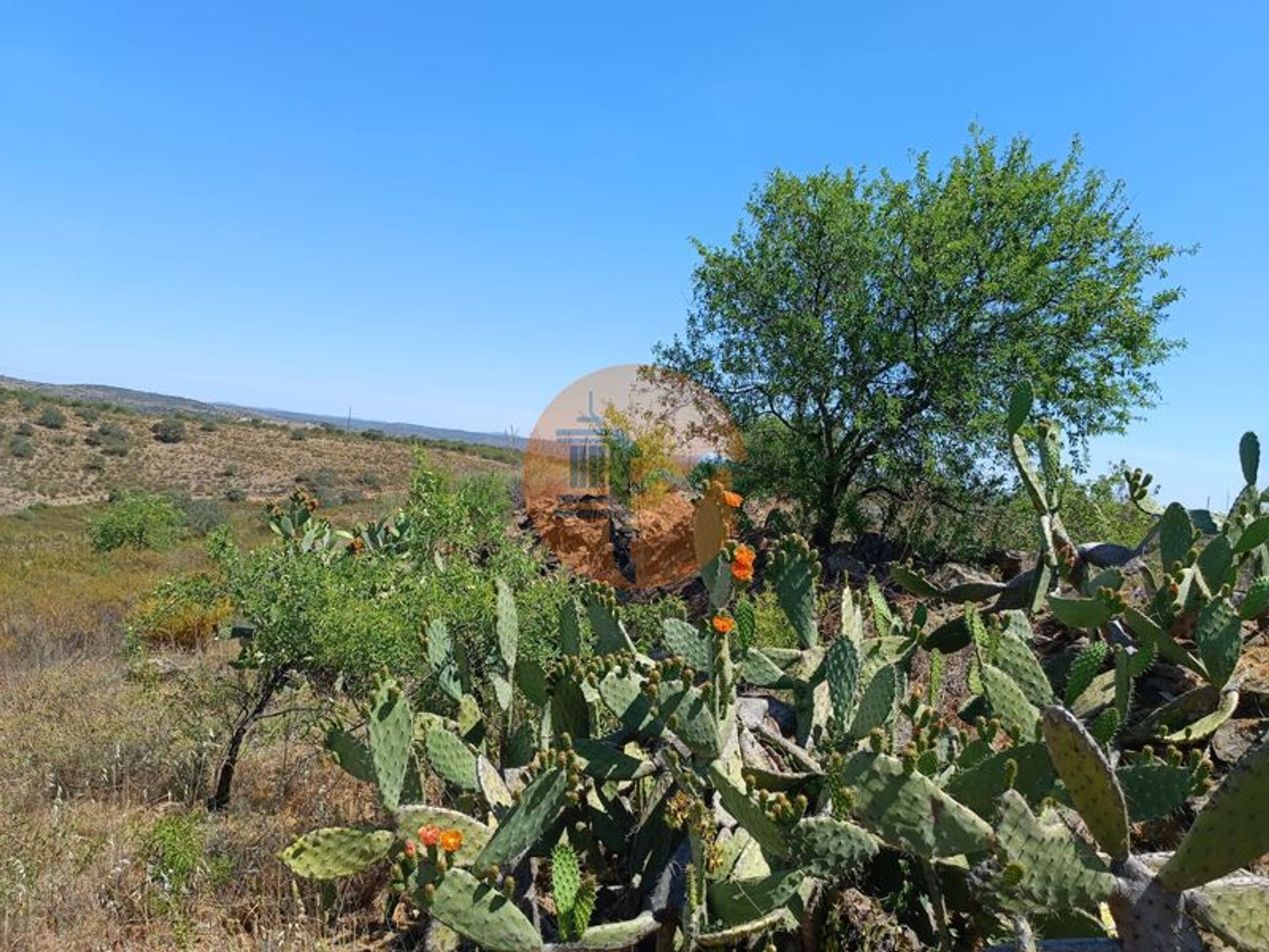 Land in Odeleite, Faro 11706249