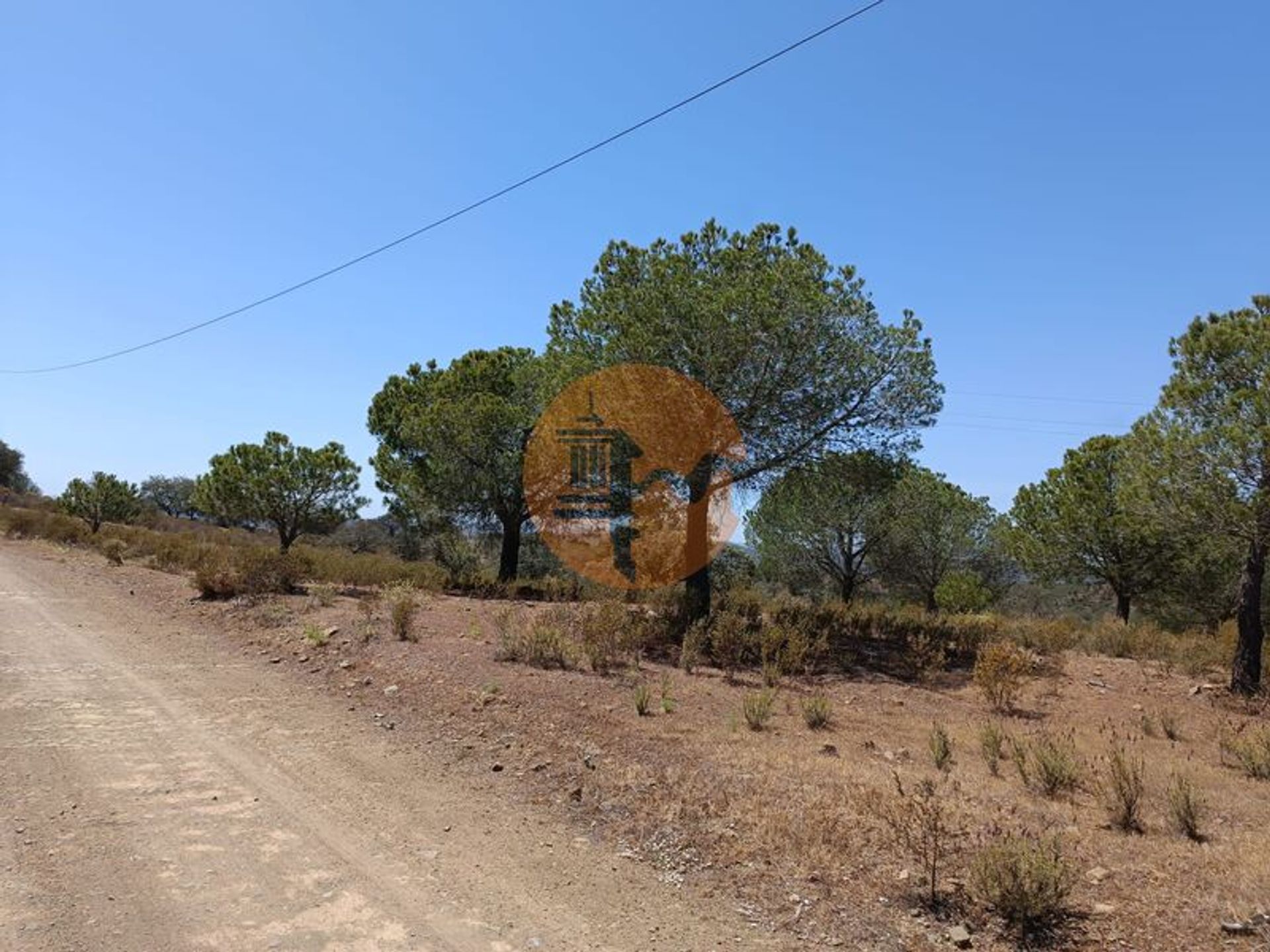 Tierra en odeleita, Faraón 11706253