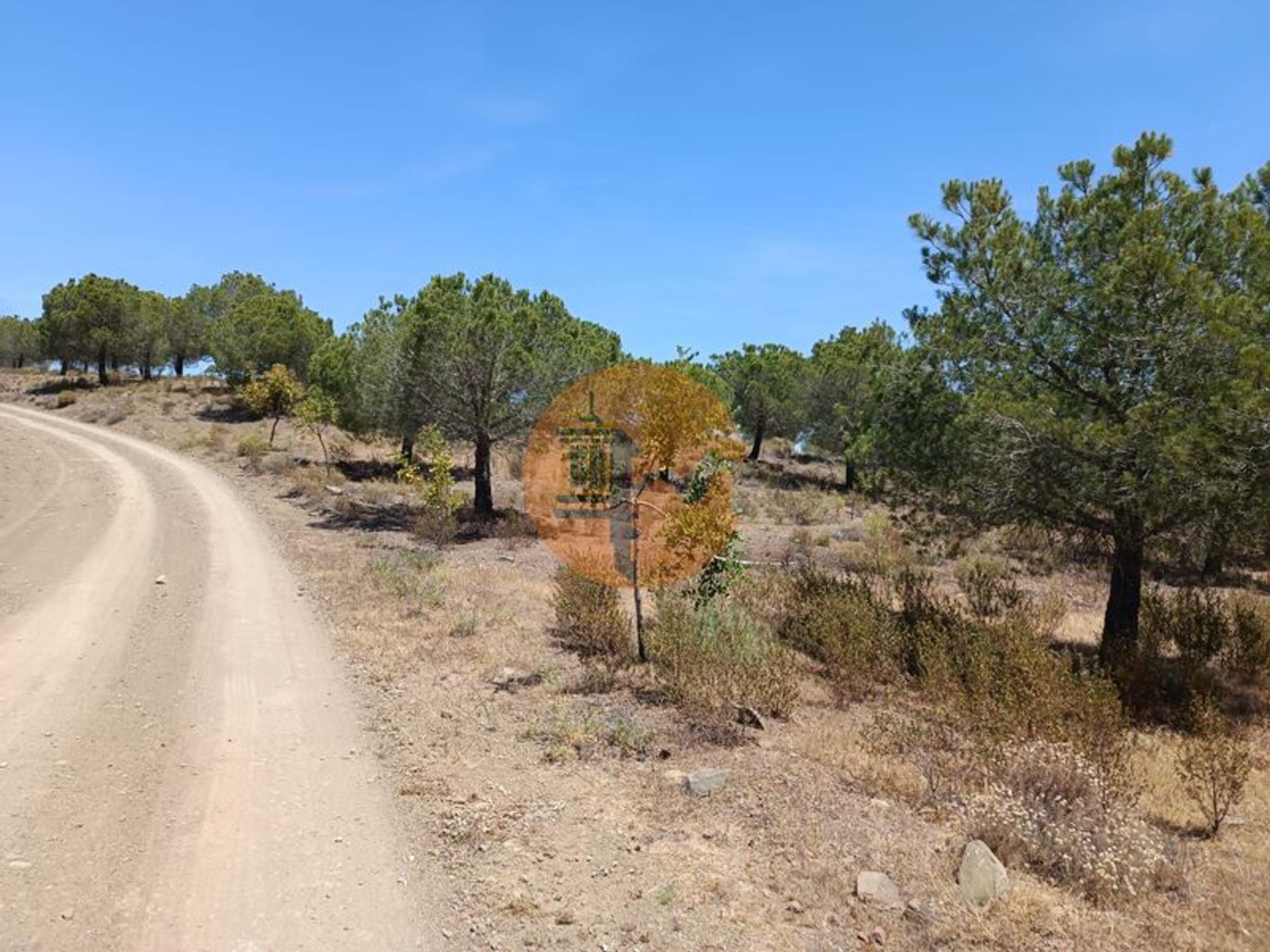 Tierra en odeleita, Faraón 11706253