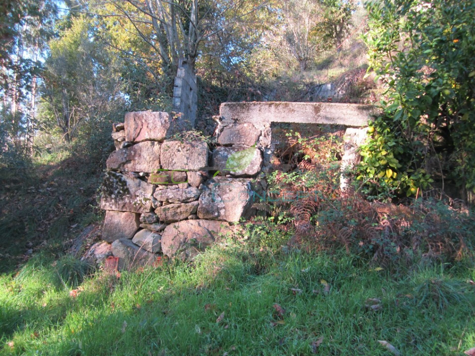 Tierra en Alvarenga, Aveiro District 11706772