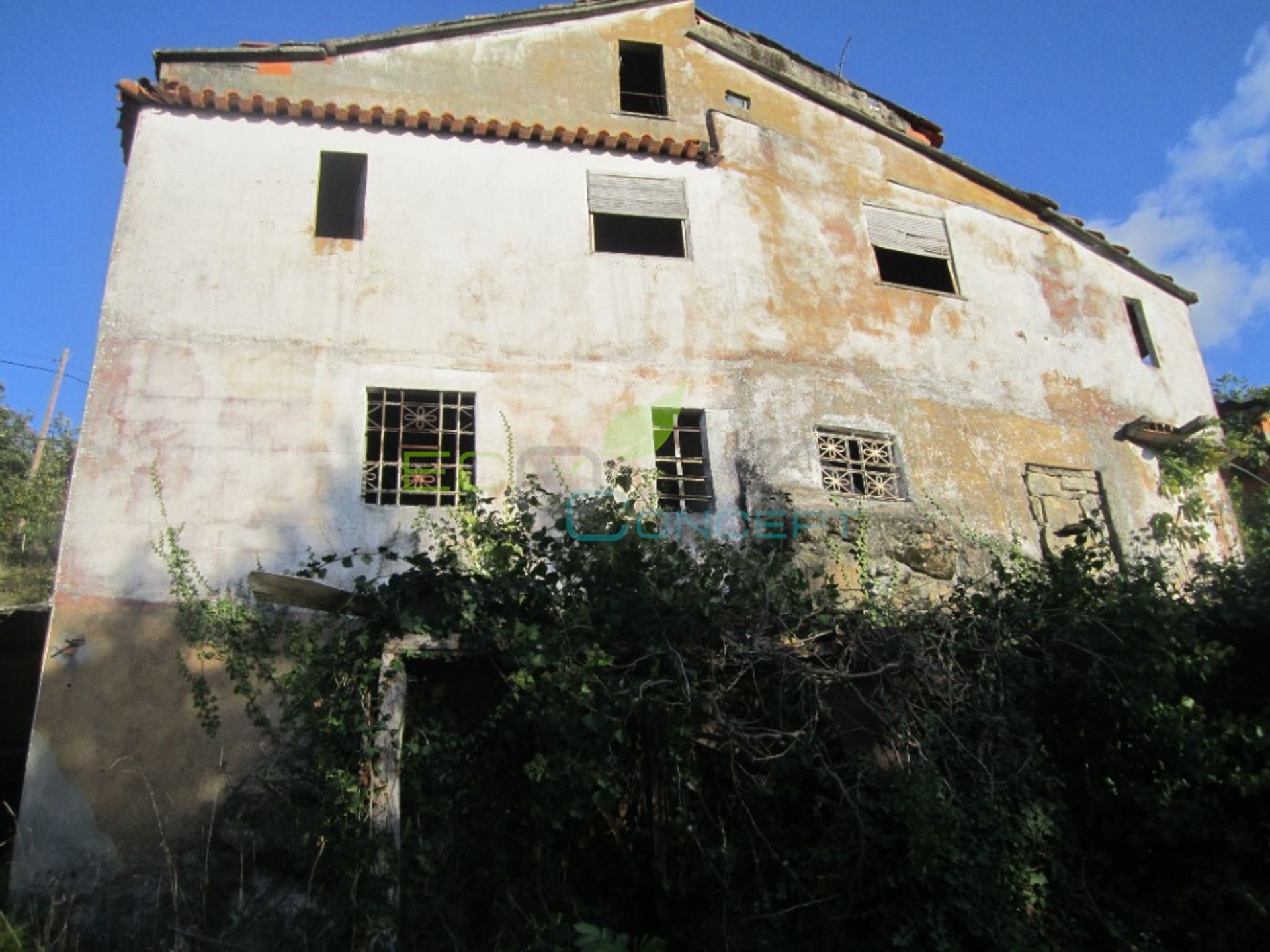 Земля в Alvarenga, Aveiro District 11706772